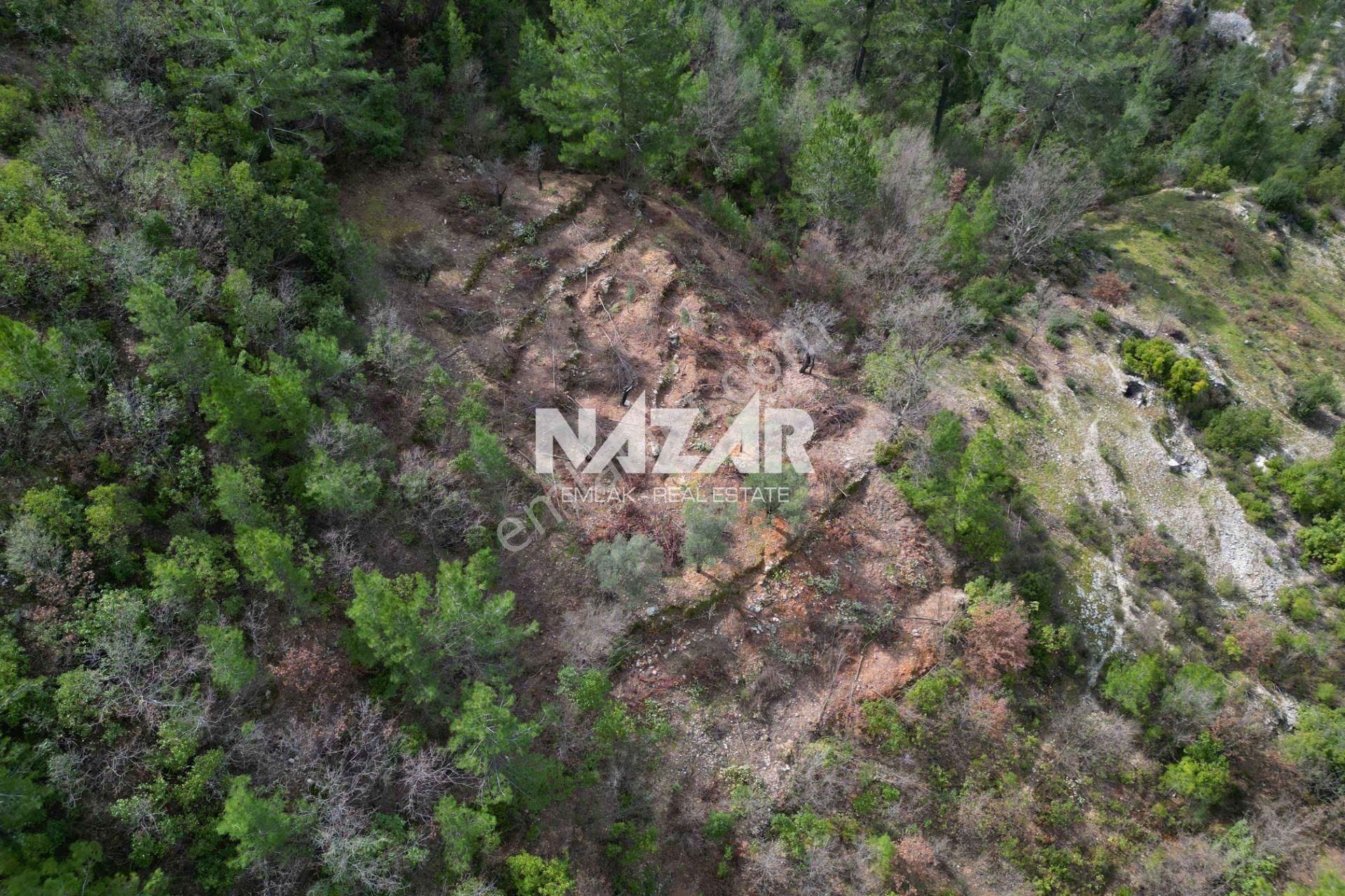 Alanya Türktaş’ta 2.835 M² Satılık Tarla - Görsel 17