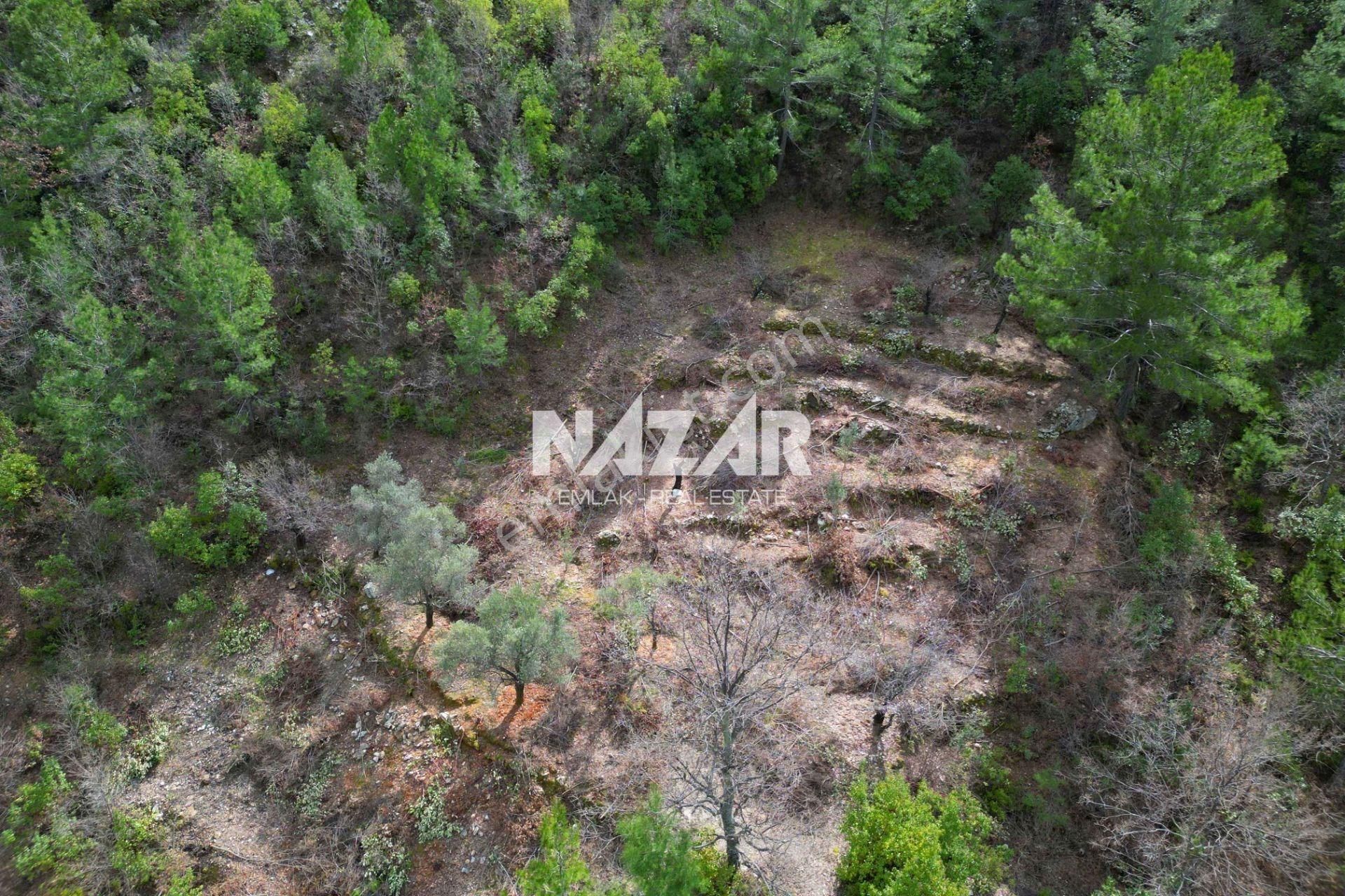 Alanya Türktaş’ta 2.835 M² Satılık Tarla - Görsel 8