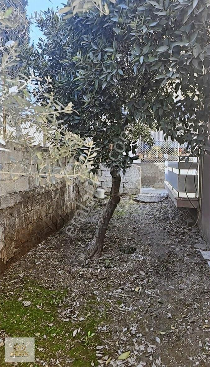 Şakirpaşa Uçak Mh.köşe Başı Acil Satılık 2 Buçuk Katlı Müstakil - Görsel 26