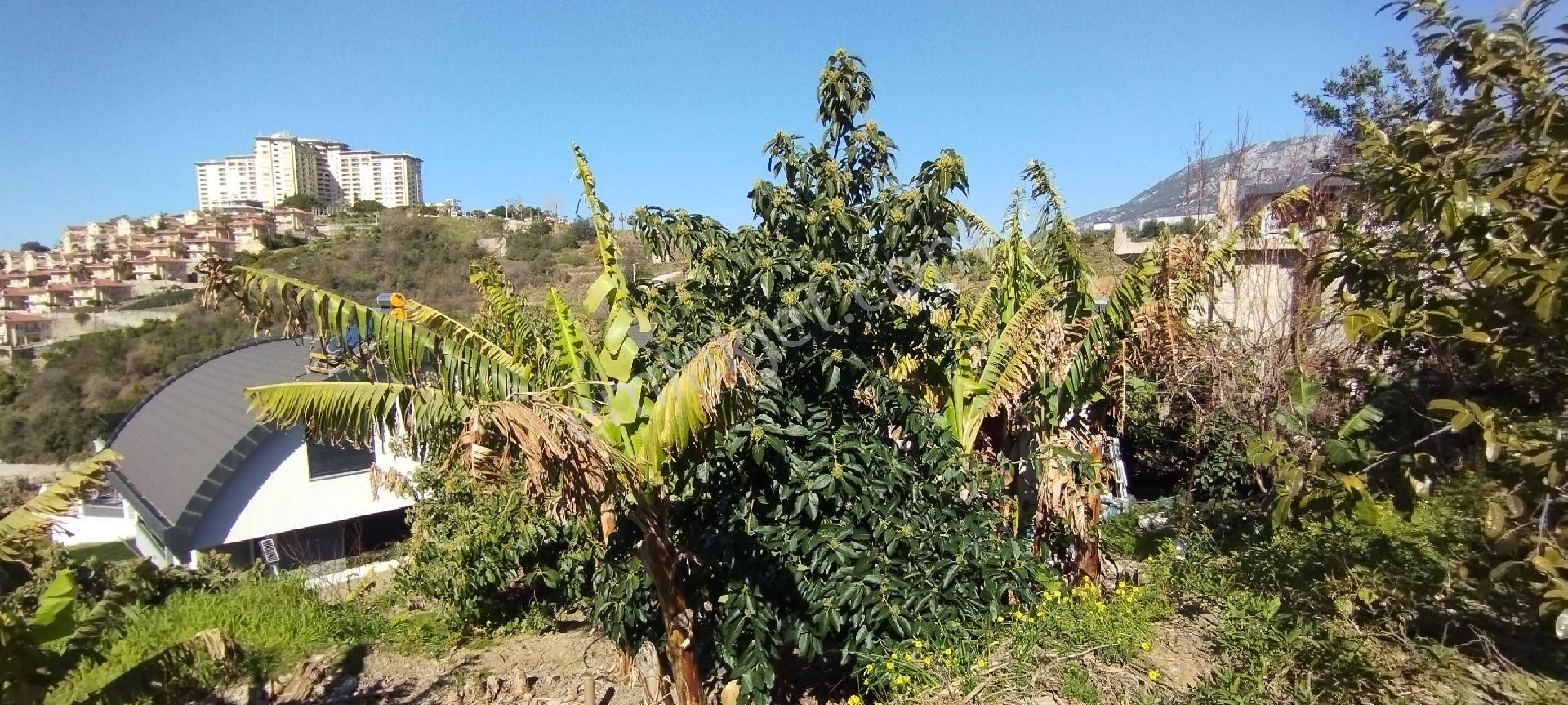 Alanya Kargıcakta Villa Yapımına Uygun Satılık Arsa - Görsel 21