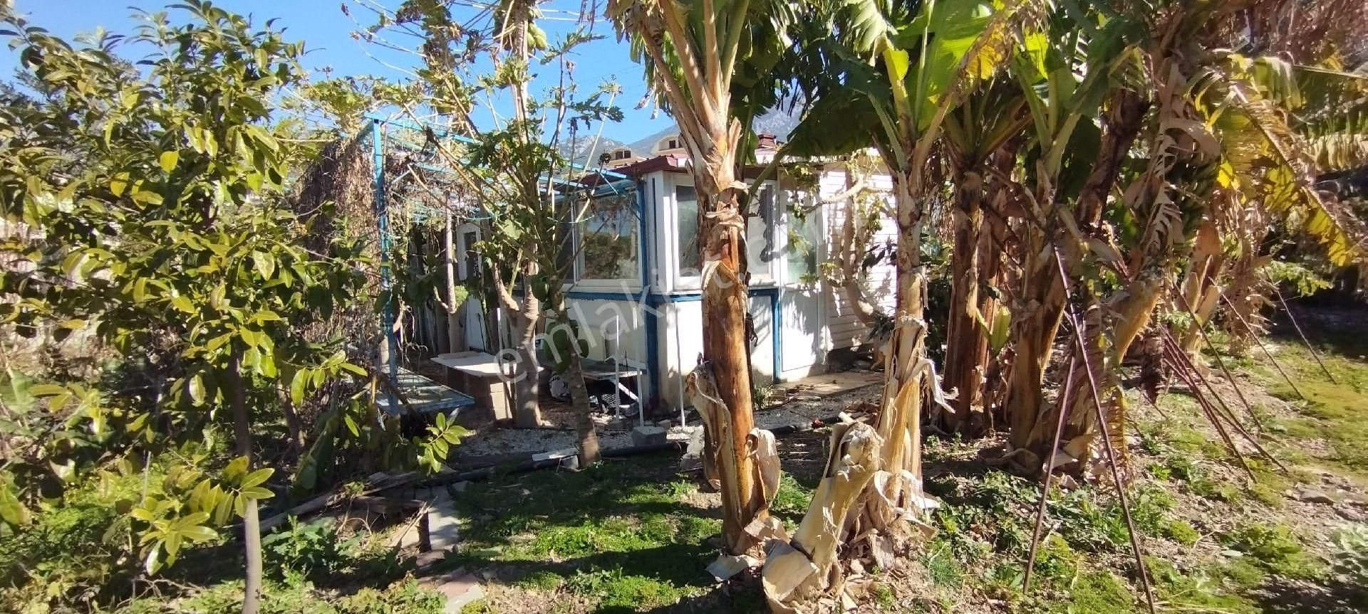 Alanya Kargıcakta Villa Yapımına Uygun Satılık Arsa - Görsel 20