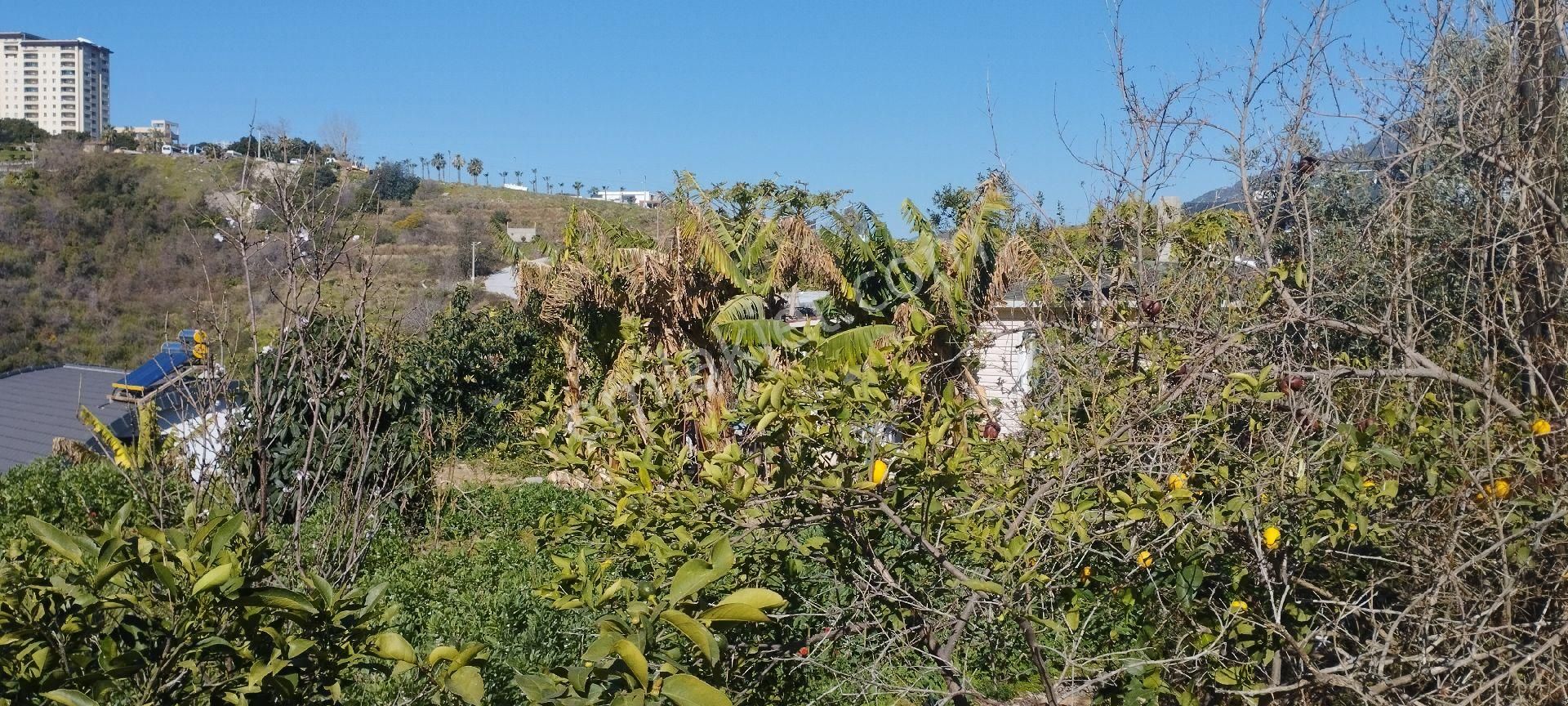 Alanya Kargıcakta Villa Yapımına Uygun Satılık Arsa - Görsel 29