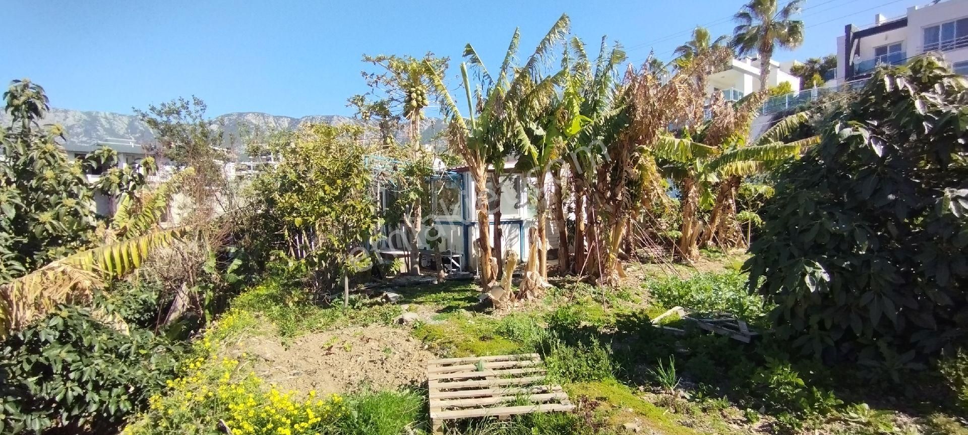 Alanya Kargıcakta Villa Yapımına Uygun Satılık Arsa - Görsel 19