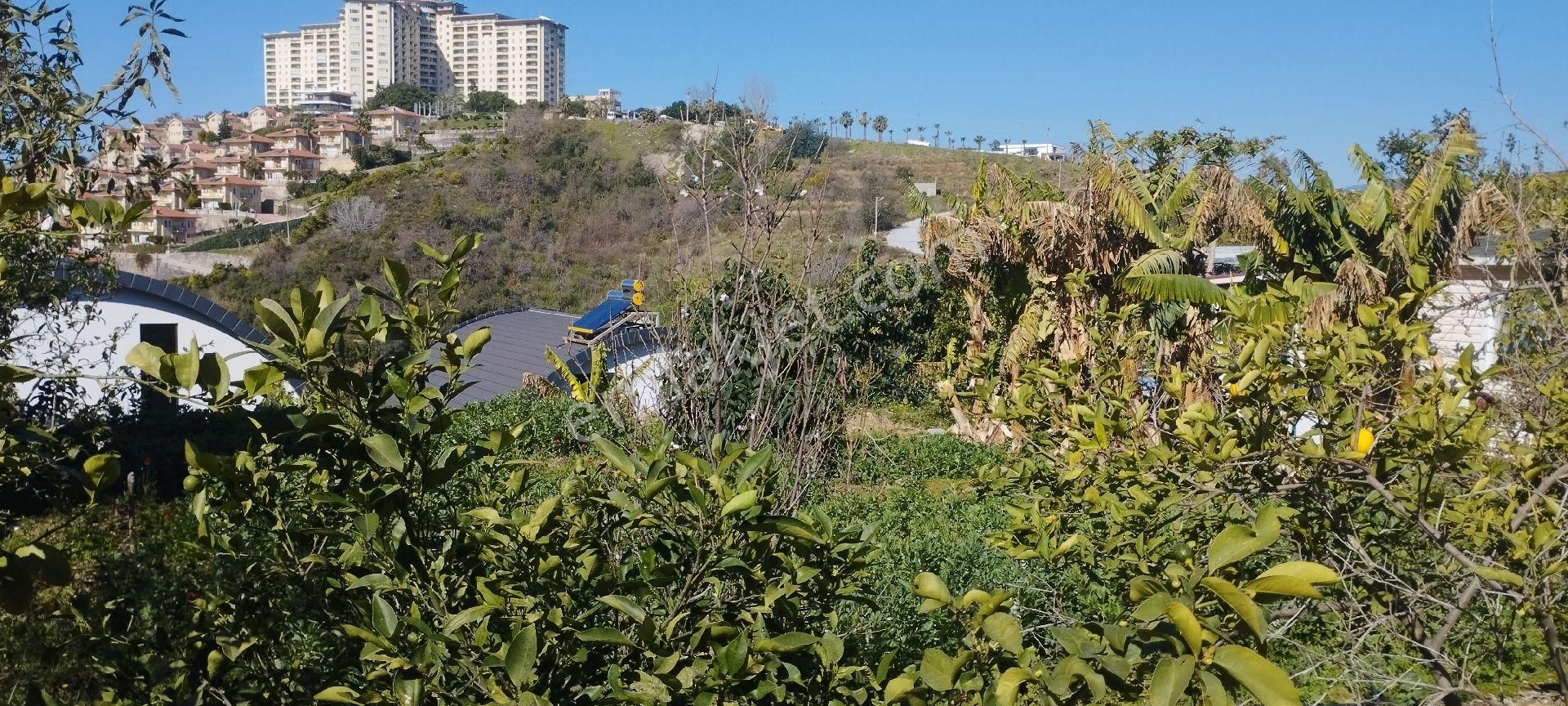 Alanya Kargıcakta Villa Yapımına Uygun Satılık Arsa - Görsel 28