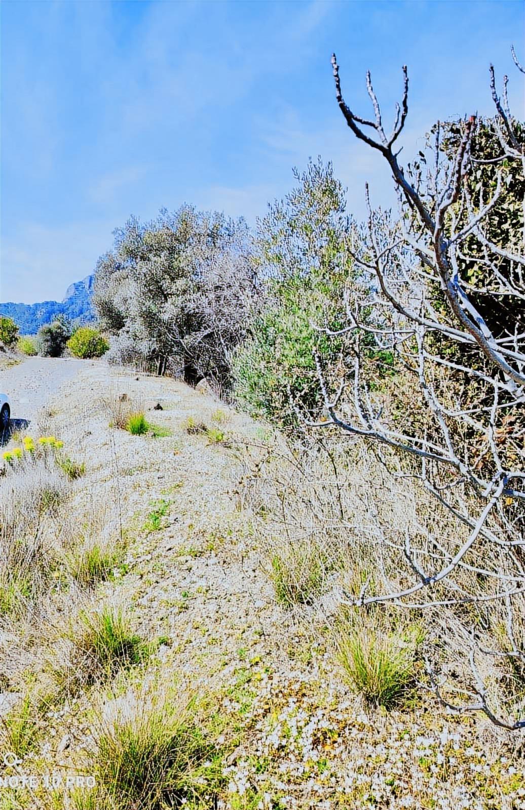 Muğla Dalaman Elcik Köyünde Satılık Müstakil Tarla - Görsel 18