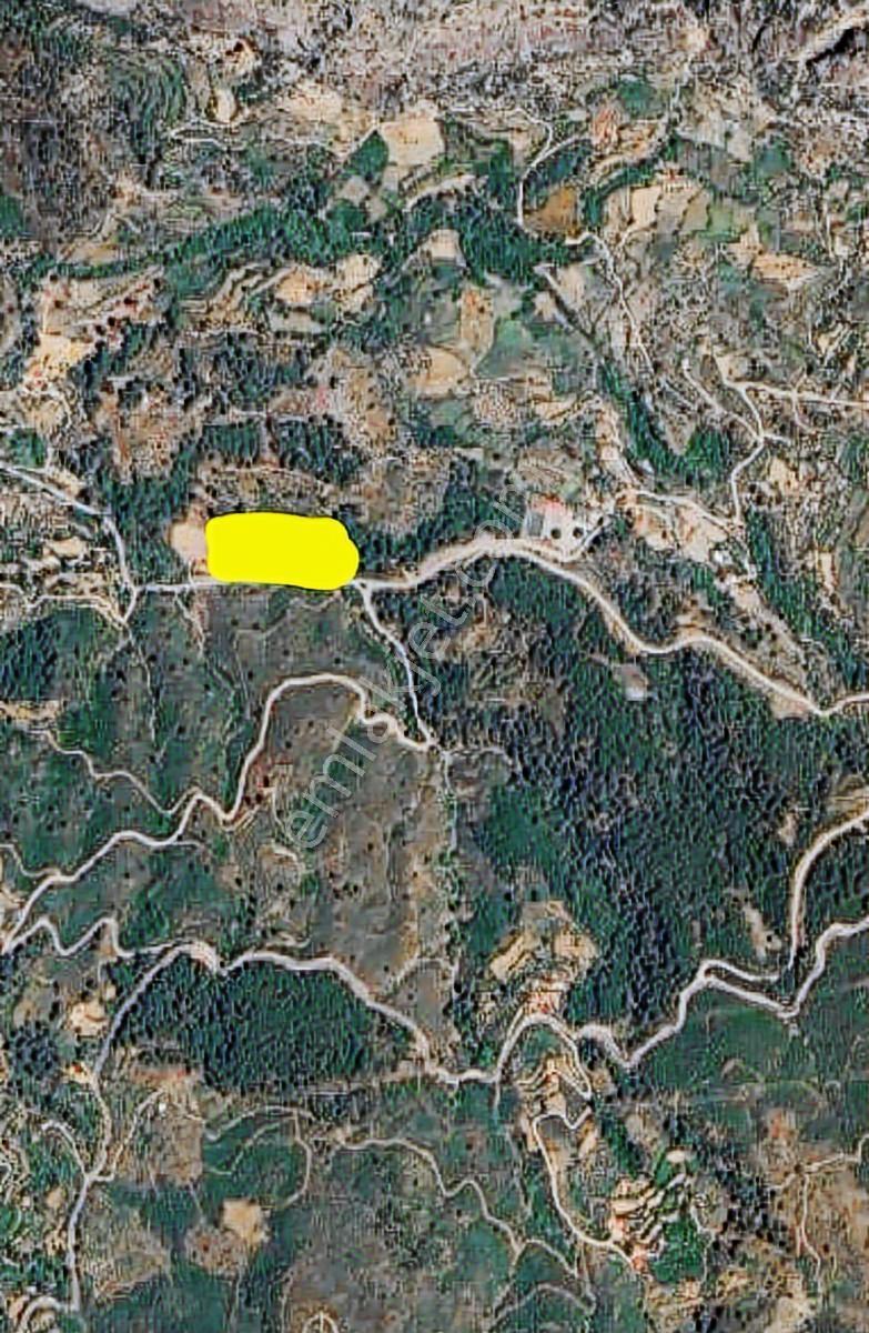 Muğla Dalaman Elcik Köyünde Satılık Müstakil Tarla - Görsel 16