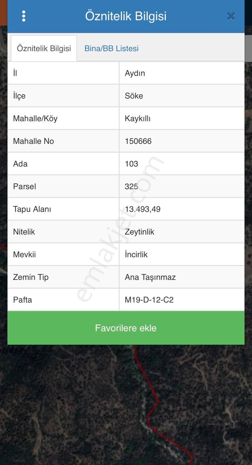 Aydın Söke Kaykıllı'da Satılık Zeytinlik - Görsel 2