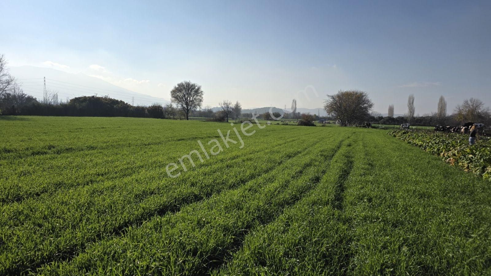 Ali Akdoğan Emlak Ofisinden Satılıktır - Görsel 17