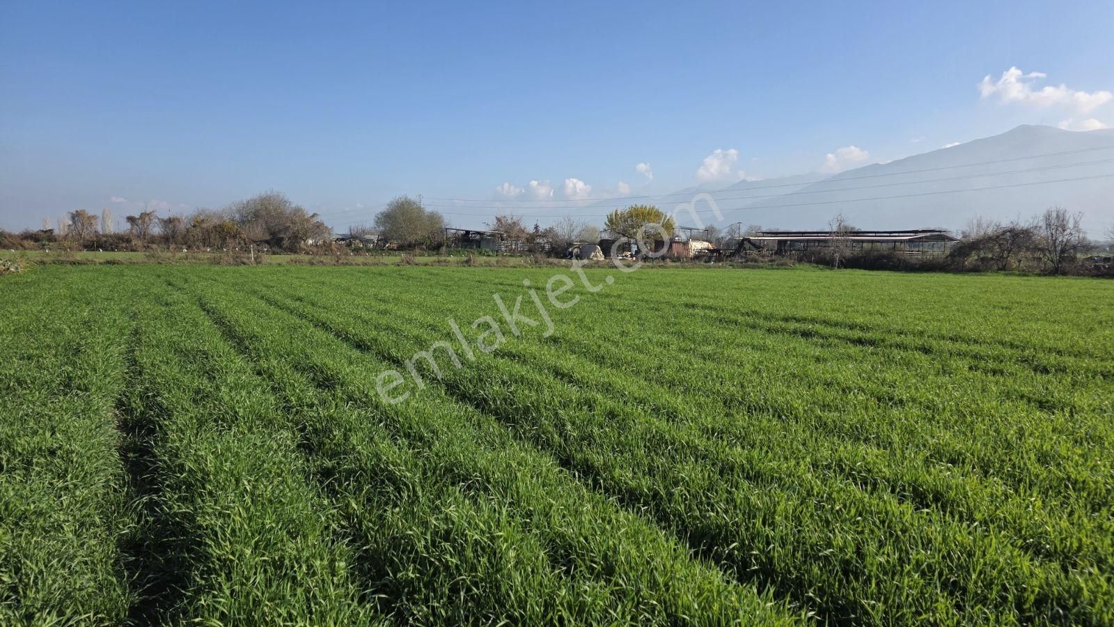 Ali Akdoğan Emlak Ofisinden Satılıktır - Görsel 26