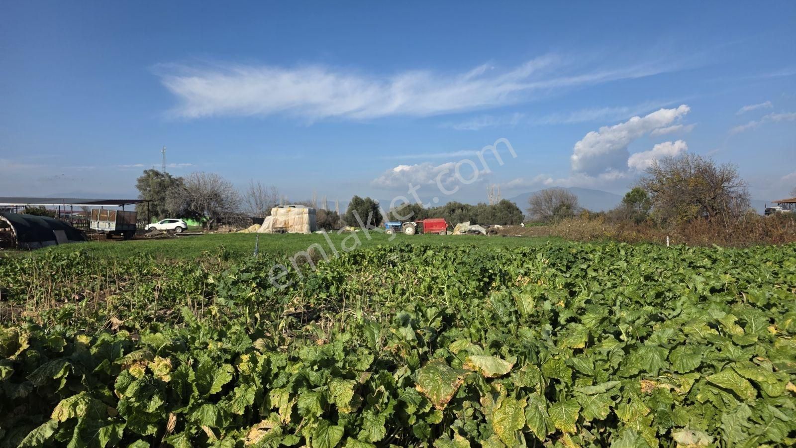 Ali Akdoğan Emlak Ofisinden Satılıktır - Görsel 14