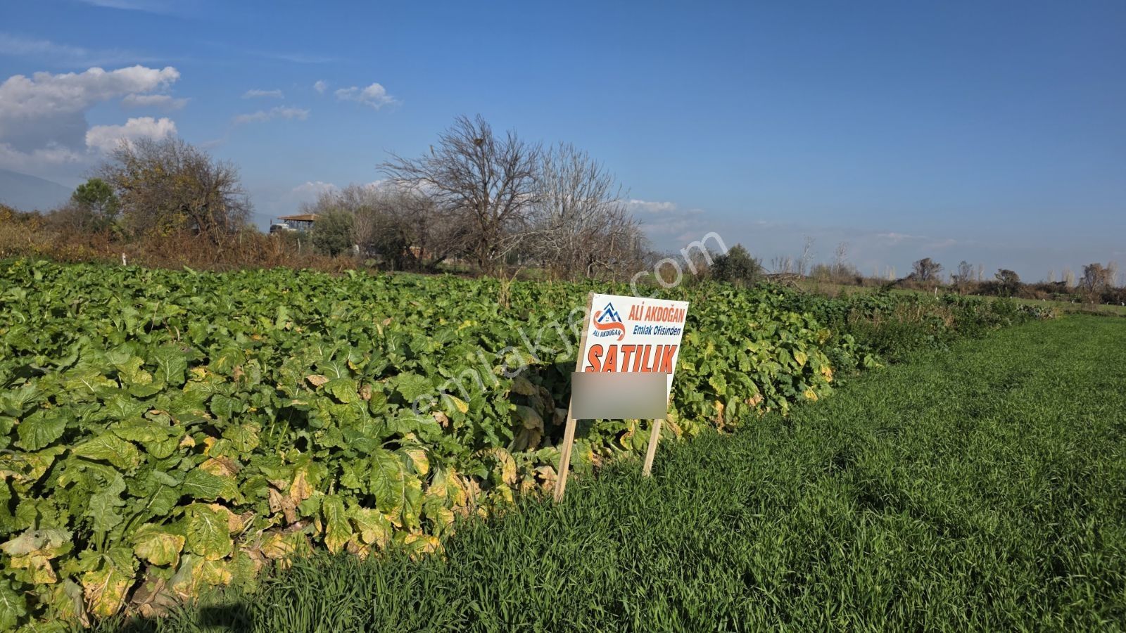 Ali Akdoğan Emlak Ofisinden Satılıktır - Görsel 13