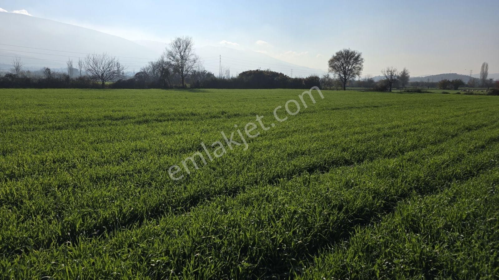 Ali Akdoğan Emlak Ofisinden Satılıktır - Görsel 6