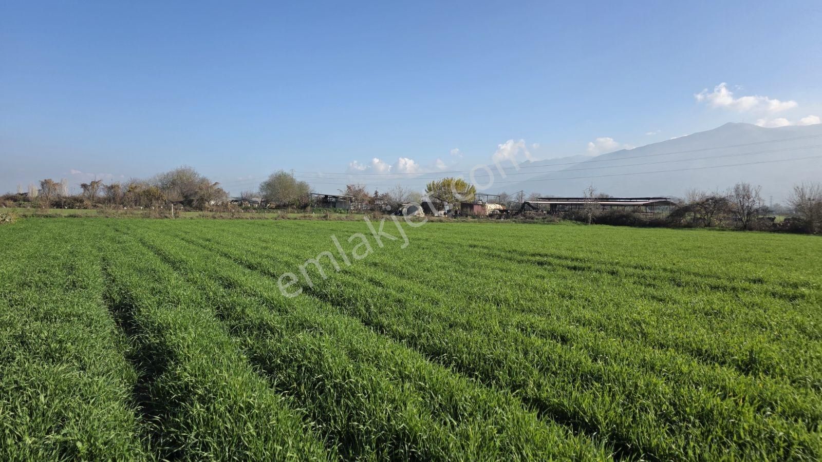 Ali Akdoğan Emlak Ofisinden Satılıktır - Görsel 19