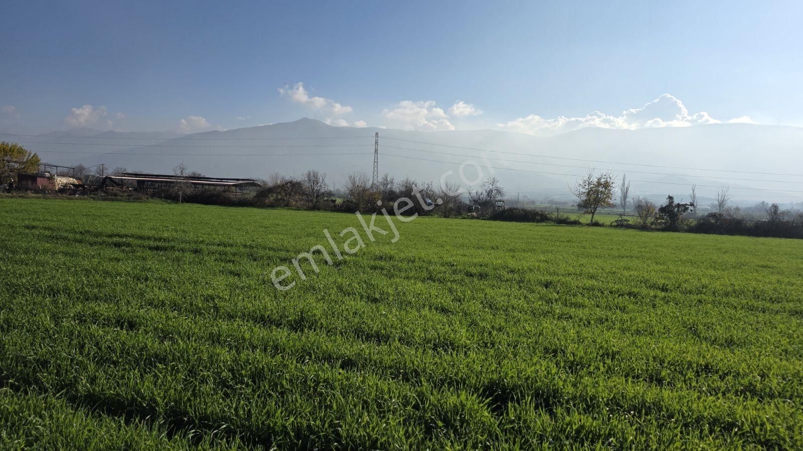 Ali Akdoğan Emlak Ofisinden Satılıktır - Görsel 15