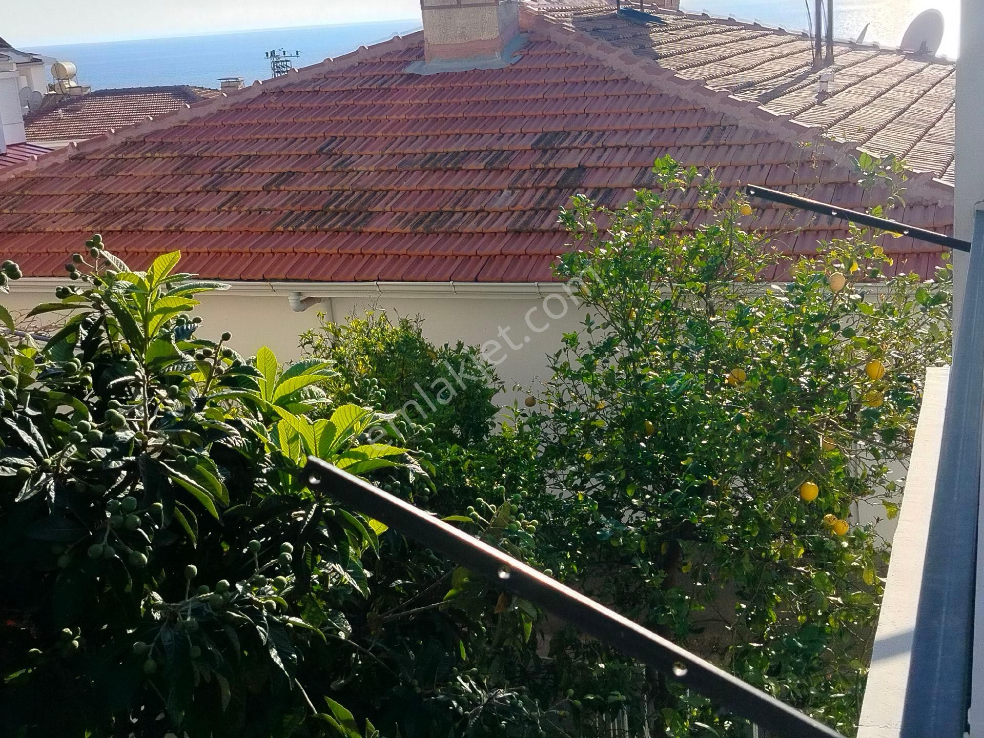 Muazzam Manzara Son Fiyat Villa Konsepti Ufak Bahçeli Kuş Sesi Ağaçların İçerisinde - Görsel 8