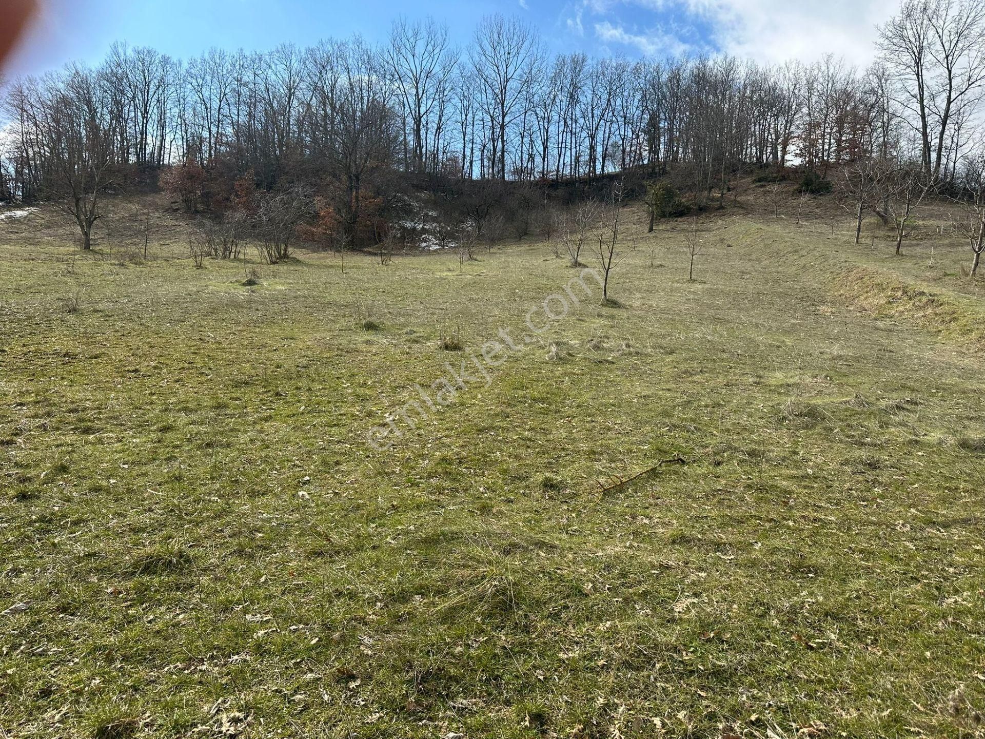 Tıny House İçin İdeal – Doğayla İç İçe Arazi - Görsel 5
