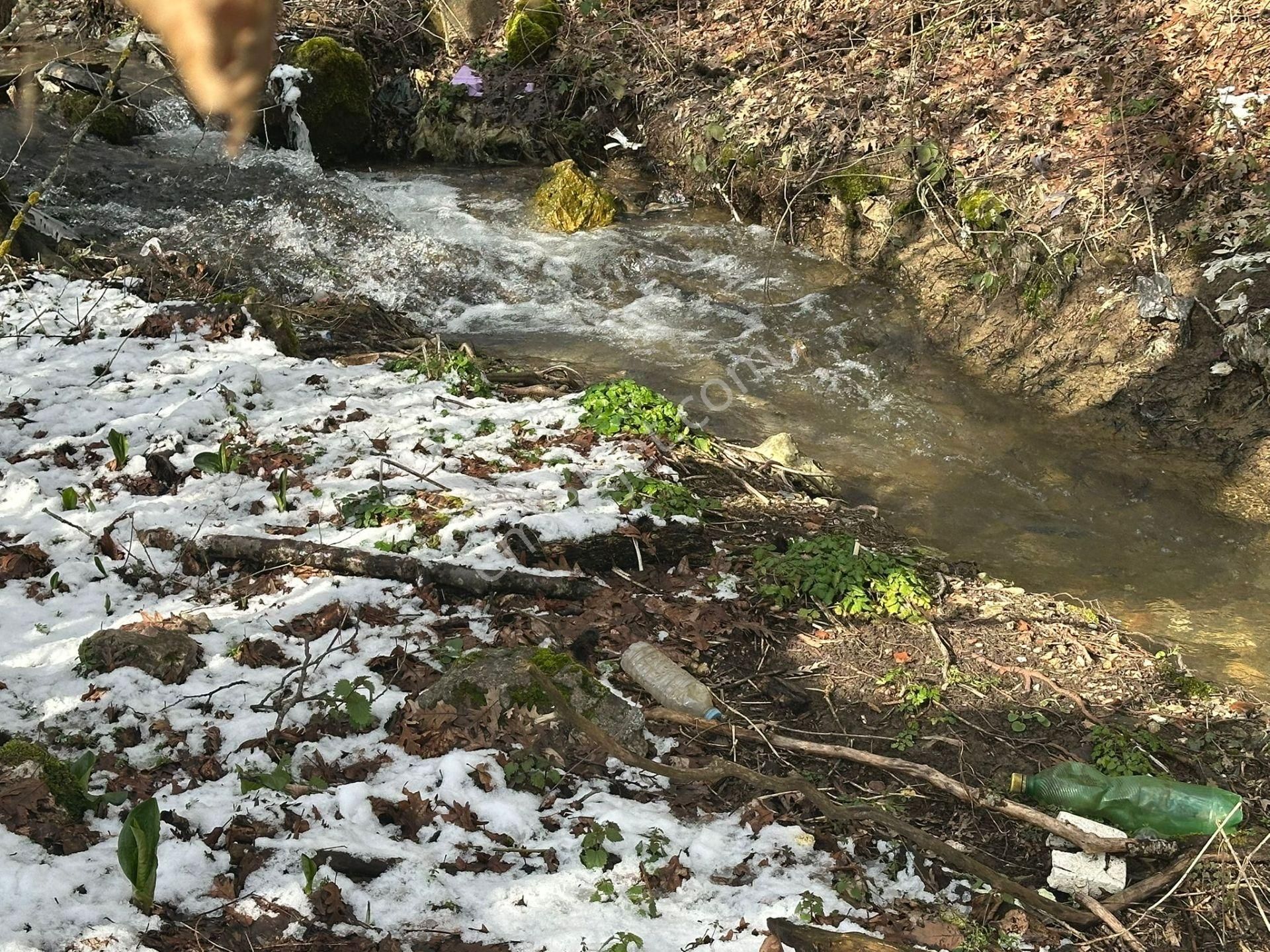 Tıny House İçin İdeal – Doğayla İç İçe Arazi