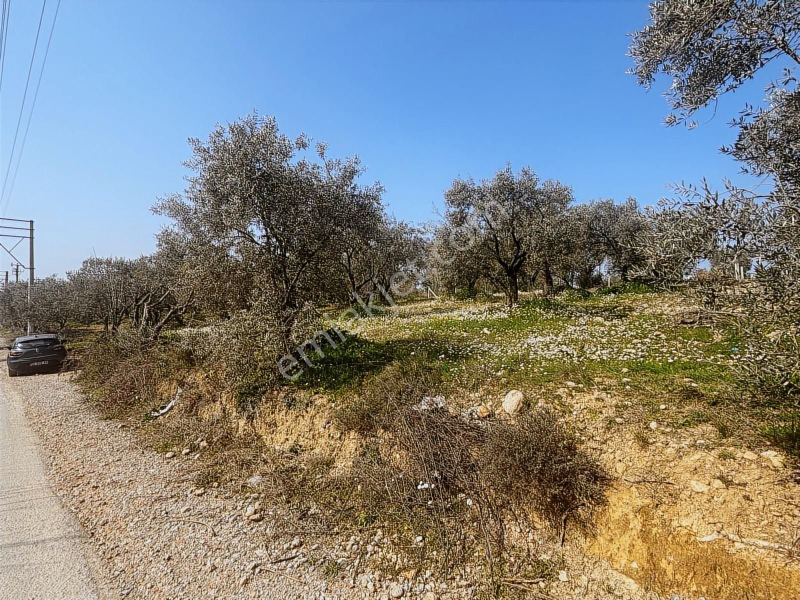 İzmir Buca Belenbaşı' Nda Satılık Arsa - Görsel 5