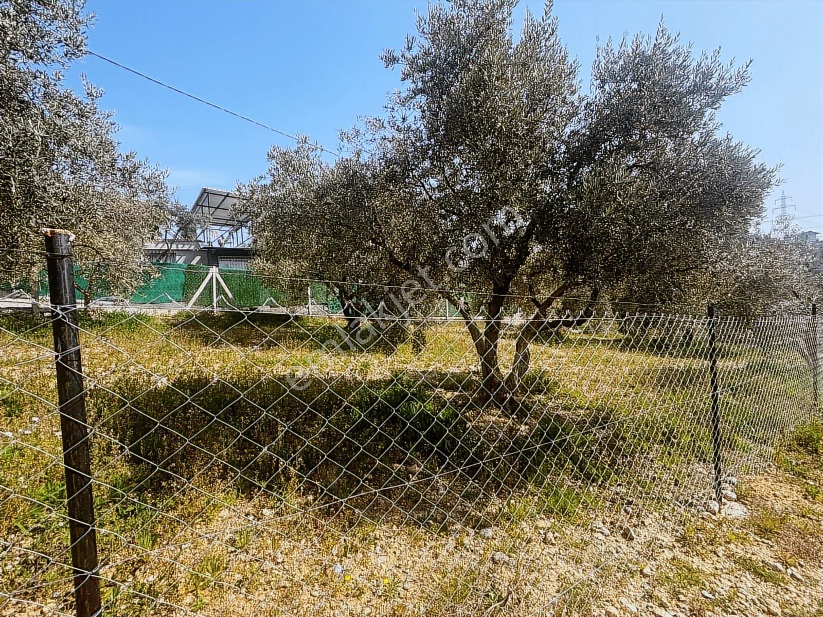 İzmir Buca Belenbaşı' Nda Satılık Arsa - Görsel 13