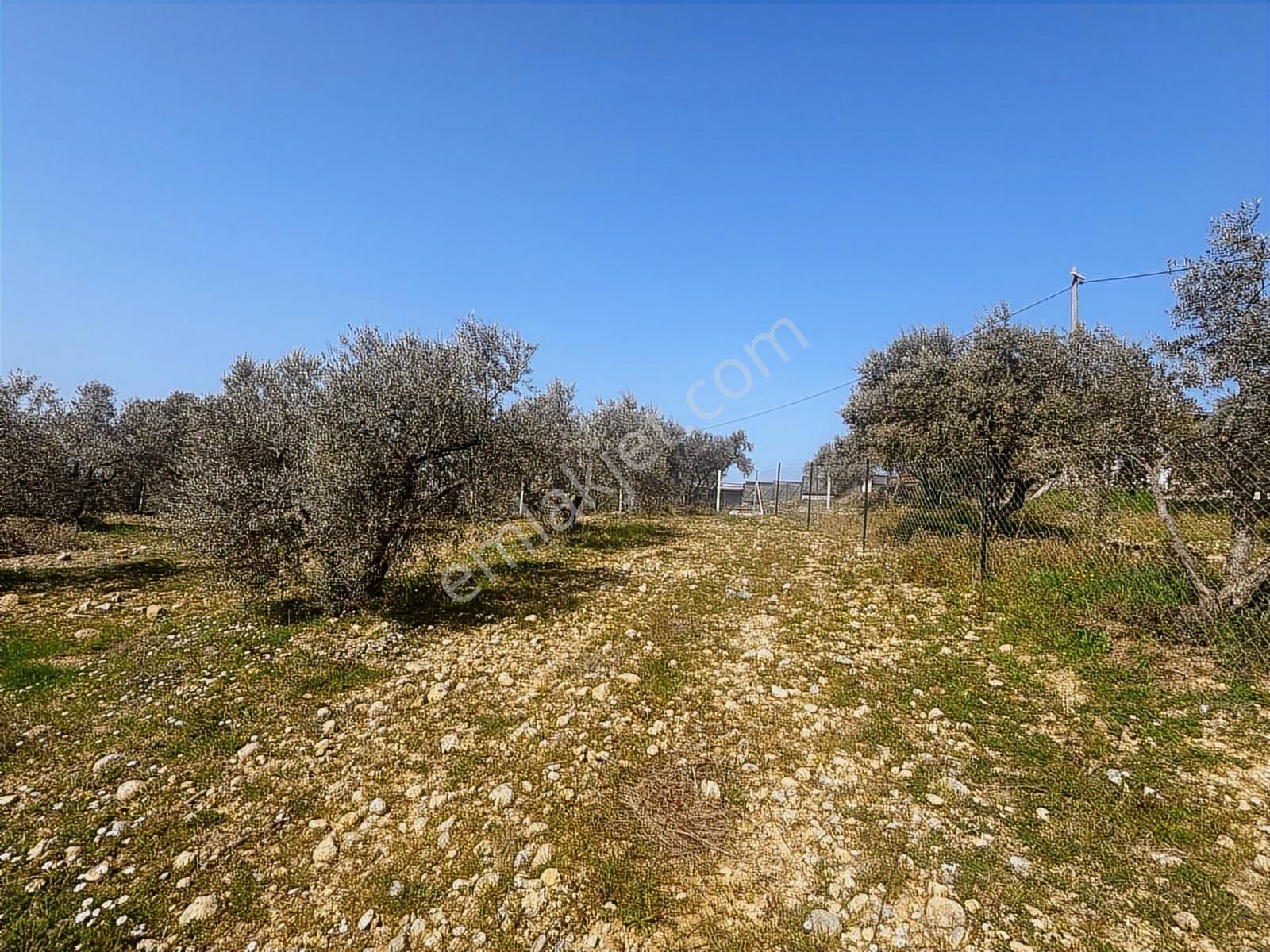 İzmir Buca Belenbaşı' Nda Satılık Arsa - Görsel 12