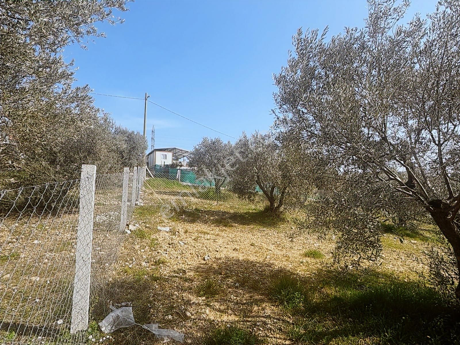 İzmir Buca Belenbaşı' Nda Satılık Arsa - Görsel 6