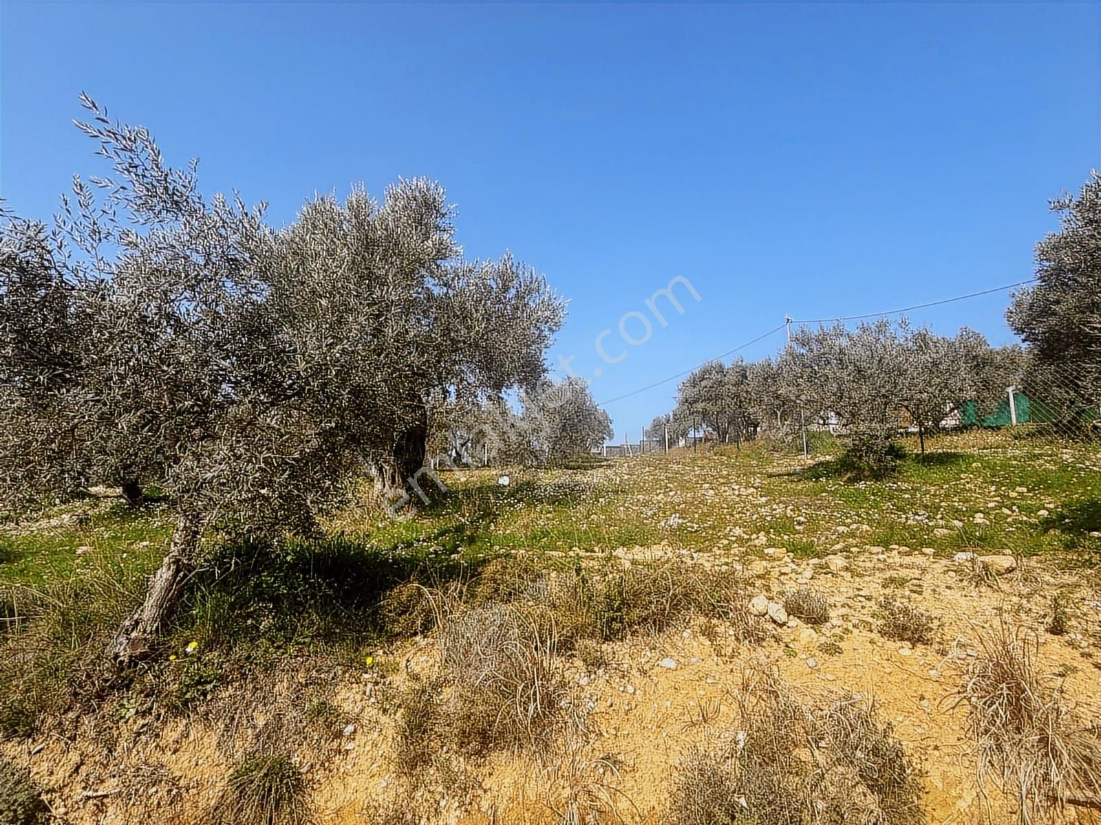 İzmir Buca Belenbaşı' Nda Satılık Arsa - Görsel 8