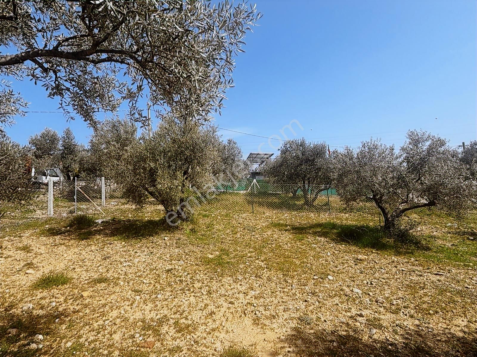 İzmir Buca Belenbaşı' Nda Satılık Arsa - Görsel 10