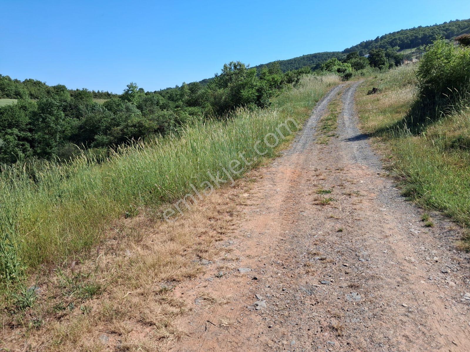 Körfez Kutluca Dere Kenarı, Yola Sıfır, Yatırımlık Arazi