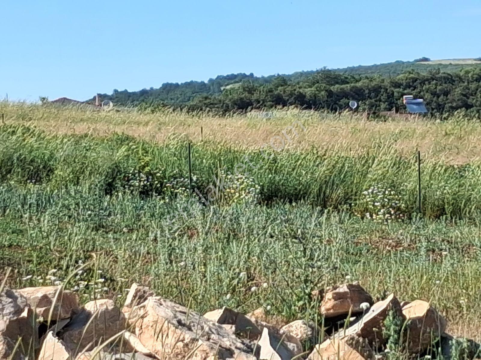 Körfez Kutluca Dere Kenarı, Yola Sıfır, Yatırımlık Arazi - Görsel 13