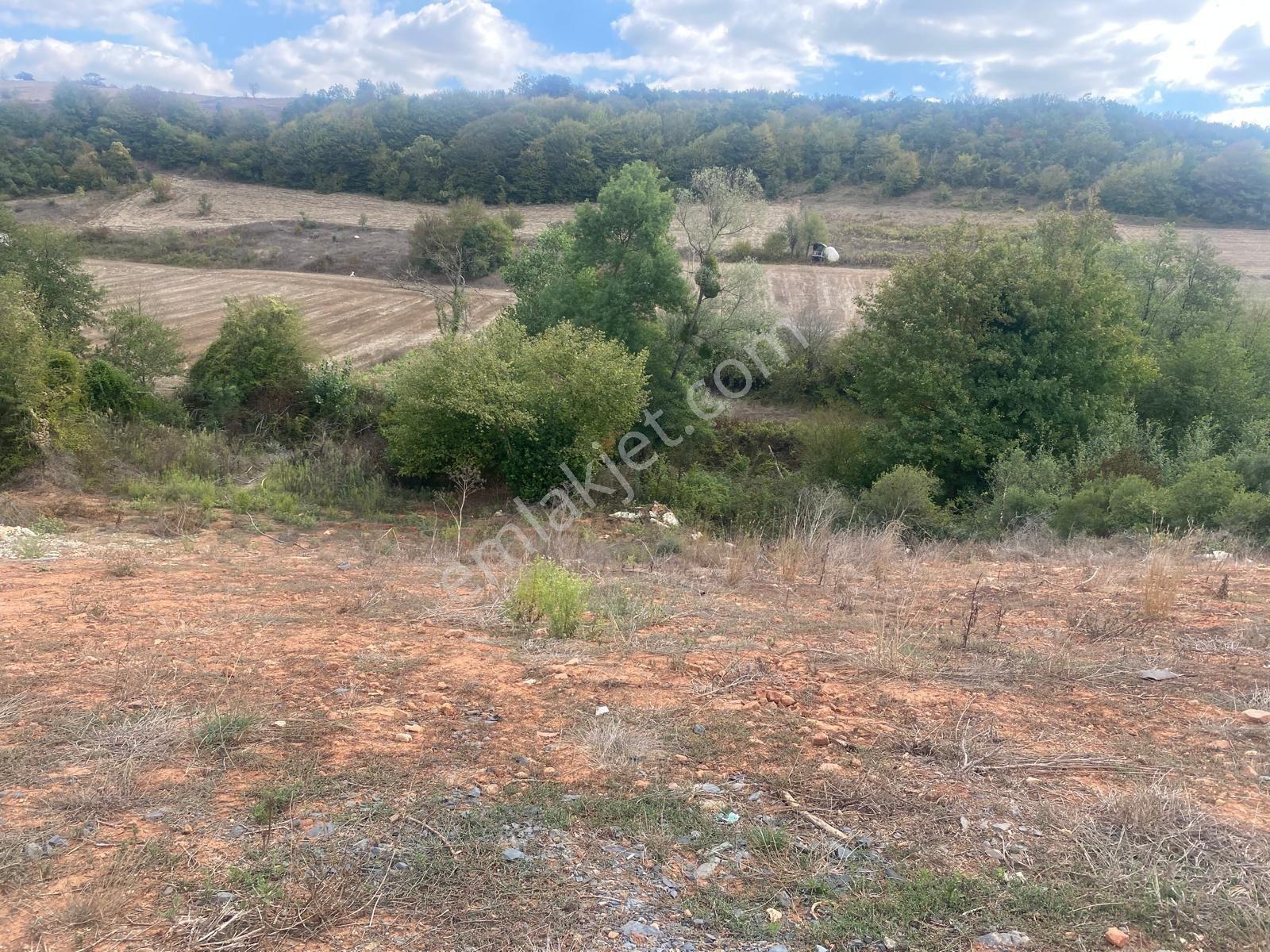 Körfez Kutluca Dere Kenarı, Yola Sıfır, Yatırımlık Arazi - Görsel 8