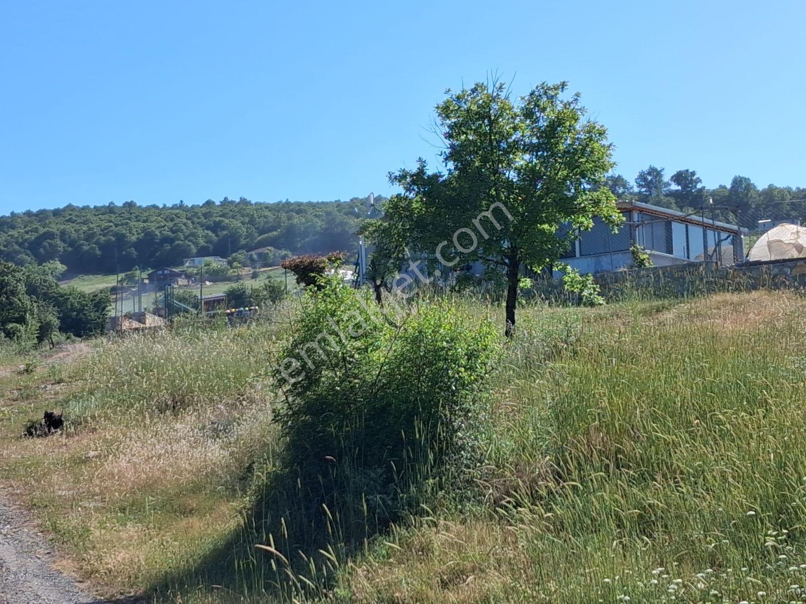 Körfez Kutluca Dere Kenarı, Yola Sıfır, Yatırımlık Arazi - Görsel 19