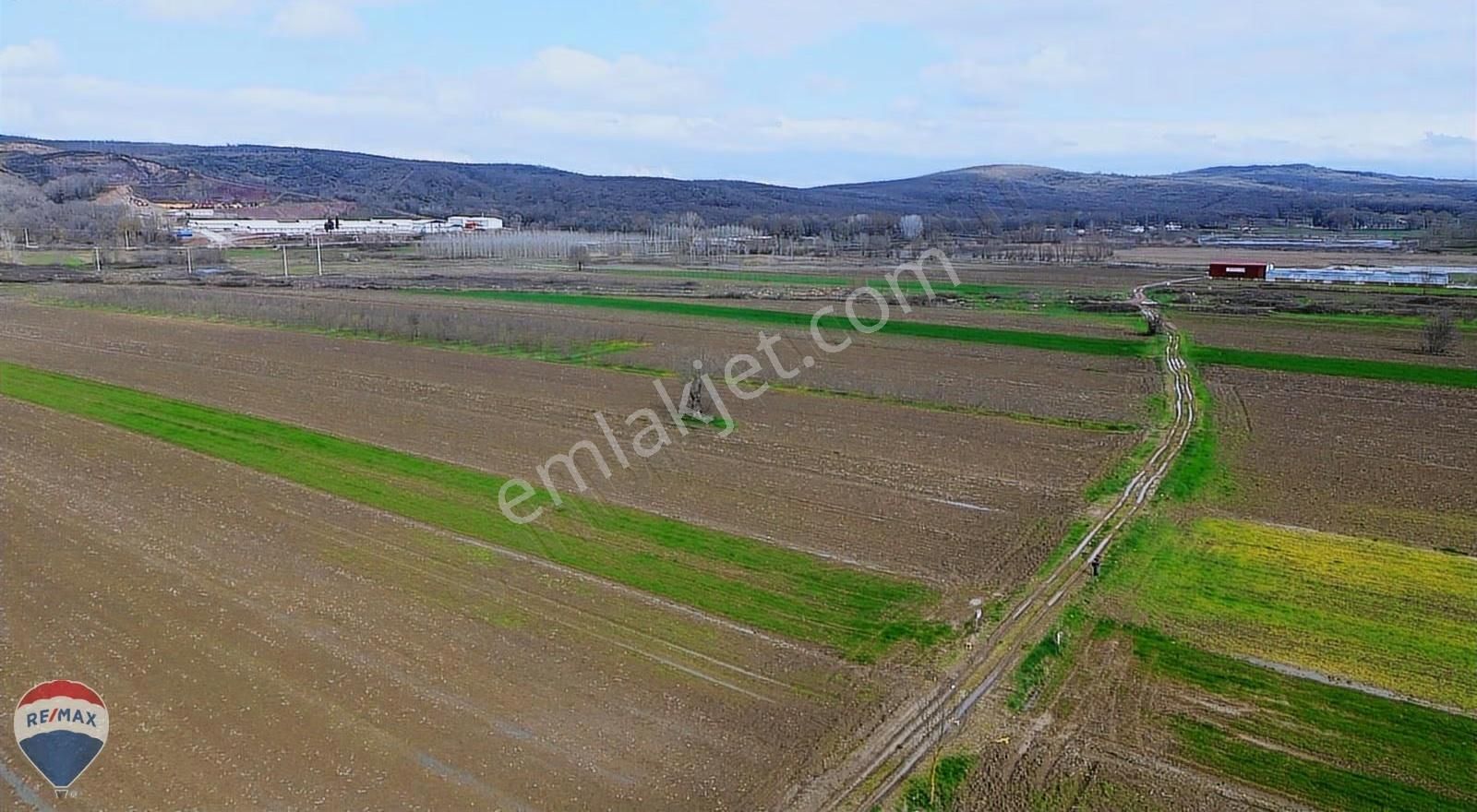 Remax Rıdvan Gedikten Söğütlü Kurudilde Satılık 6.931 M2 Tarla - Görsel 14