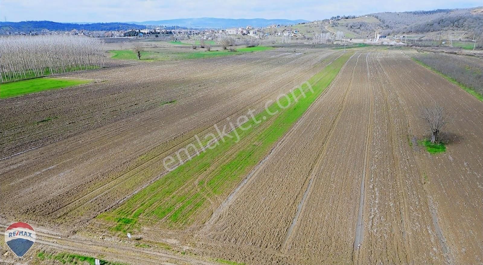 Remax Rıdvan Gedikten Söğütlü Kurudilde Satılık 6.931 M2 Tarla - Görsel 9