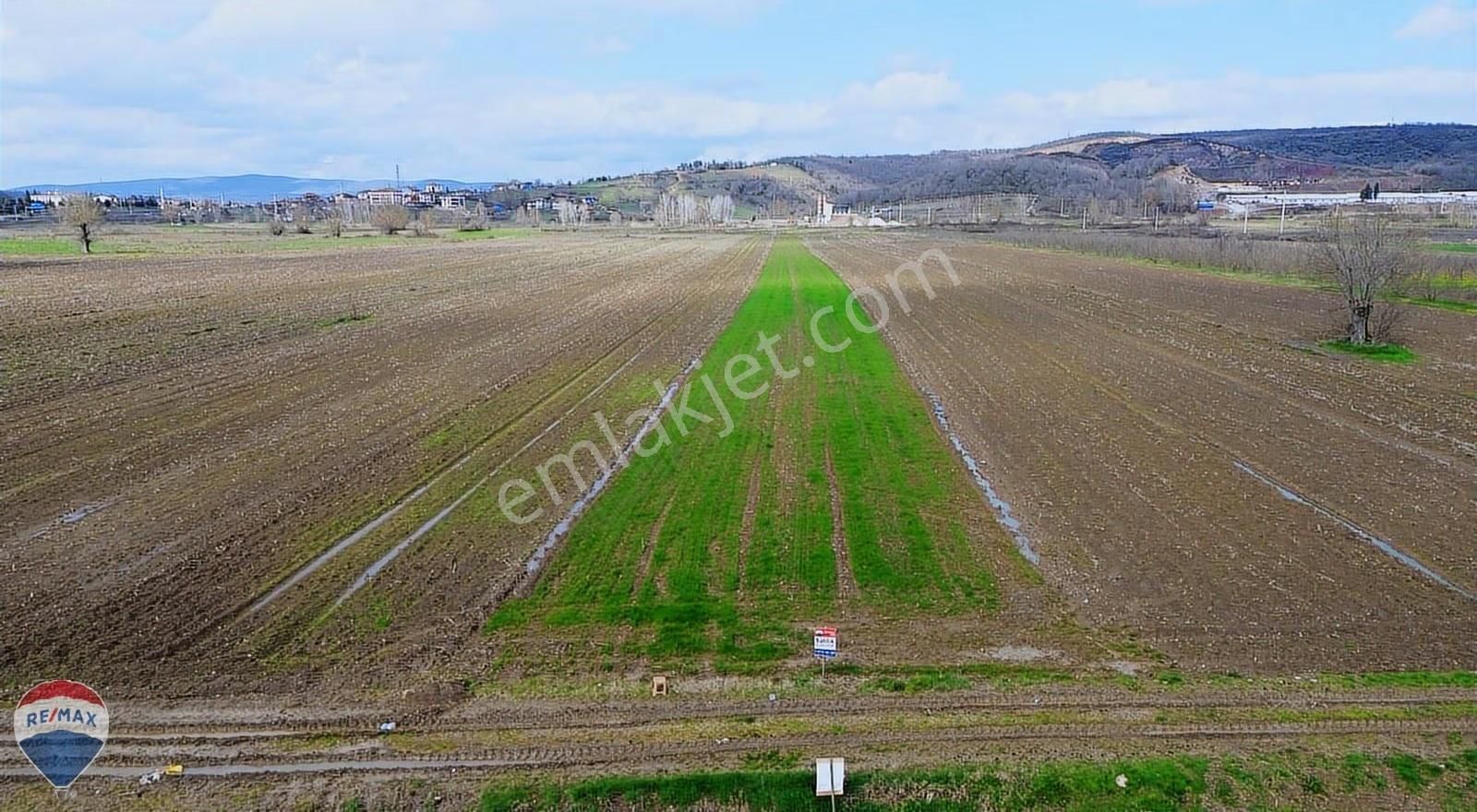 Remax Rıdvan Gedikten Söğütlü Kurudilde Satılık 6.931 M2 Tarla - Görsel 13