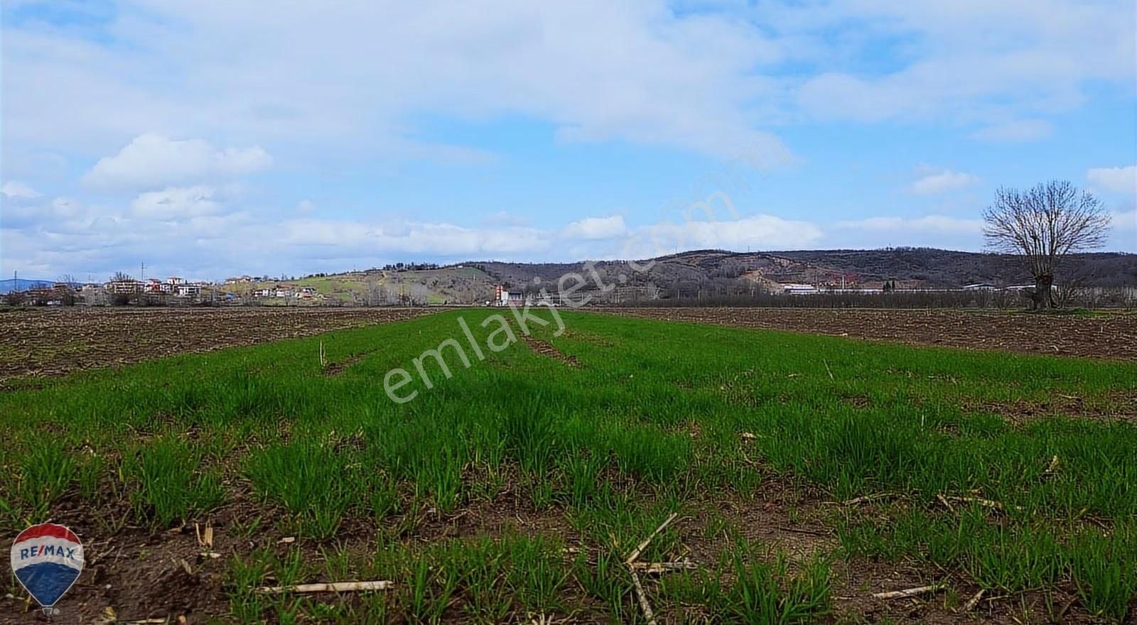 Remax Rıdvan Gedikten Söğütlü Kurudilde Satılık 6.931 M2 Tarla - Görsel 25