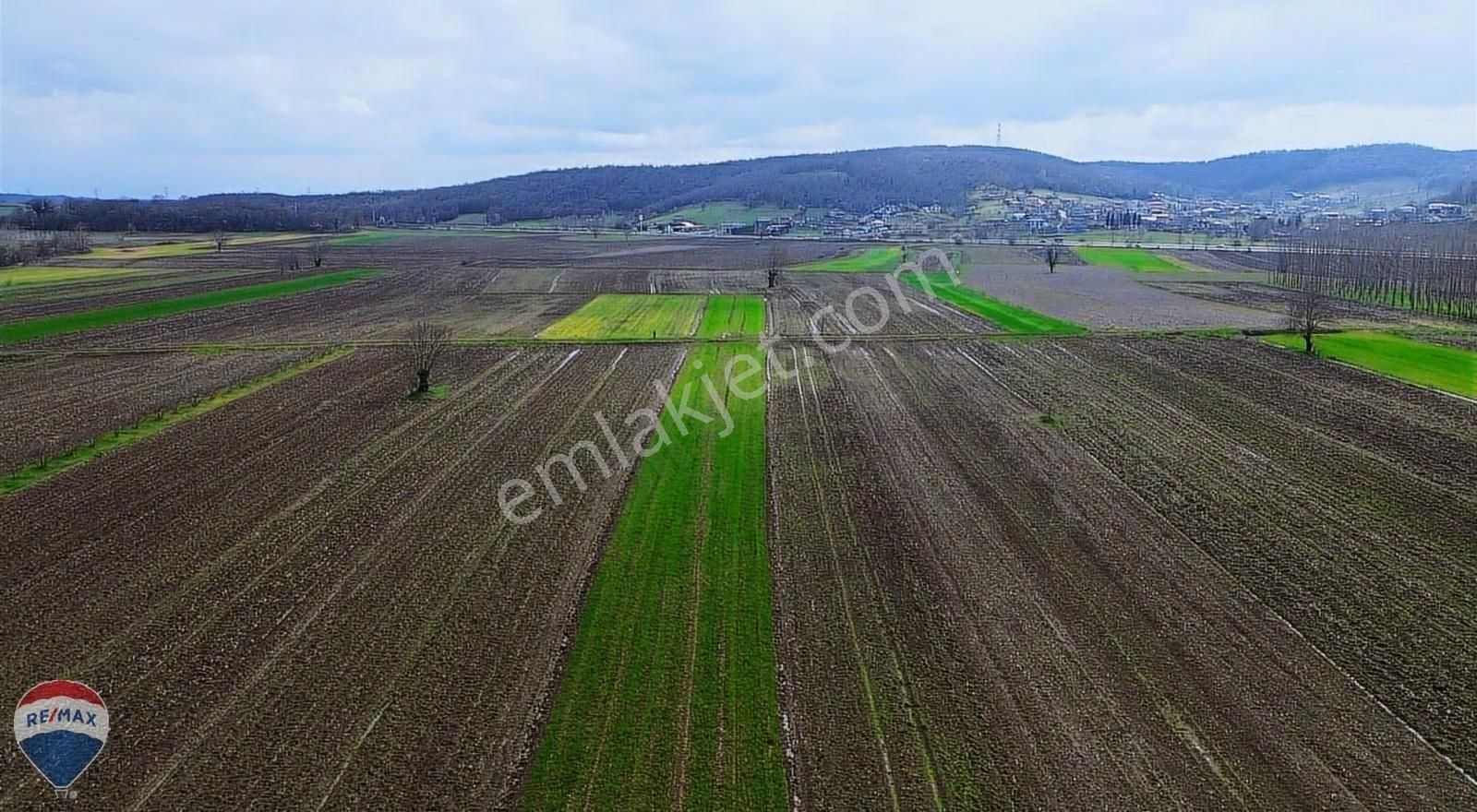 Remax Rıdvan Gedikten Söğütlü Kurudilde Satılık 6.931 M2 Tarla - Görsel 6
