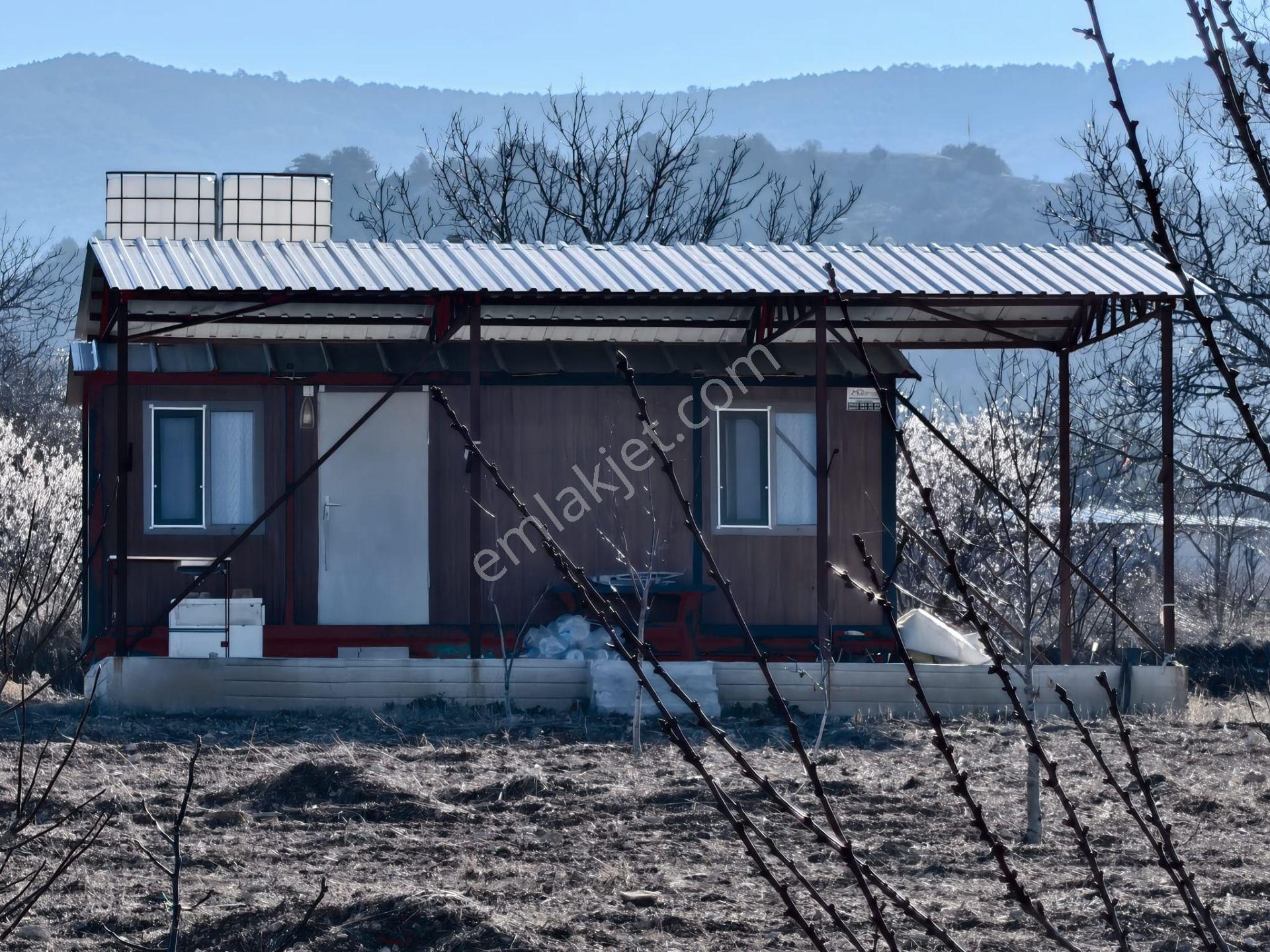Baklan Gürlük'te 5381 M² Ceviz Bahçesi - Tarla & Yatırım Fırsatı - Görsel 5