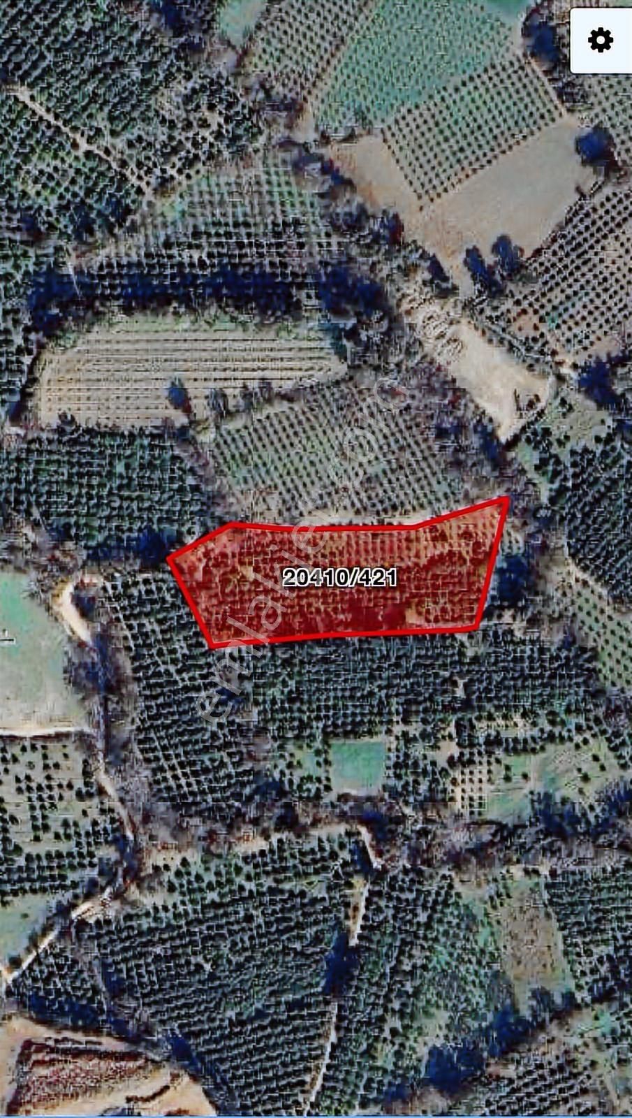 Konyaaltı Zümrüt De Rızai Taksimi Yapılmış Fırsat Tarla