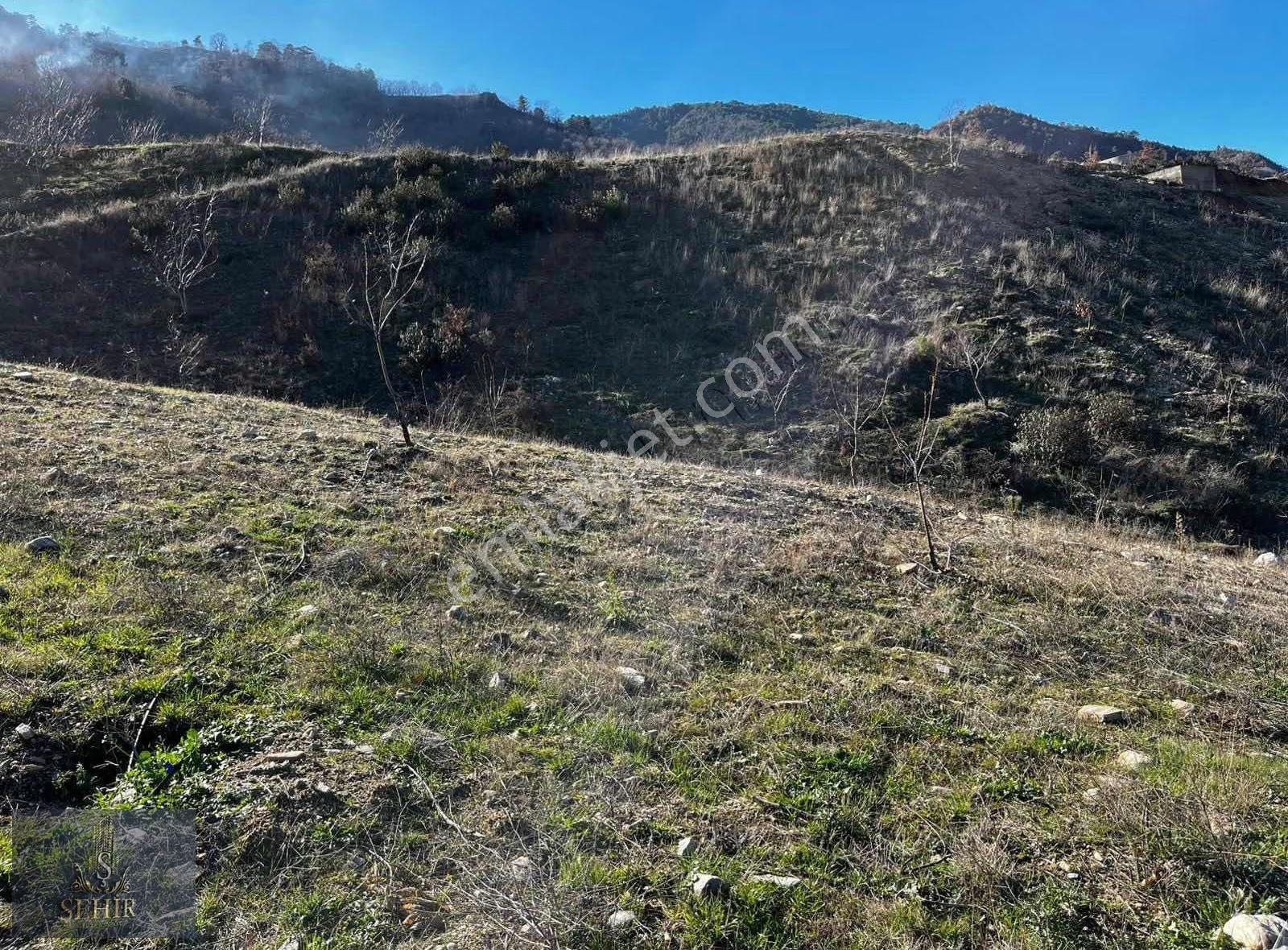| Şehir'den | Aşağıyakacık 5555m2 Köy İçi İmarlı Arsa - Görsel 6