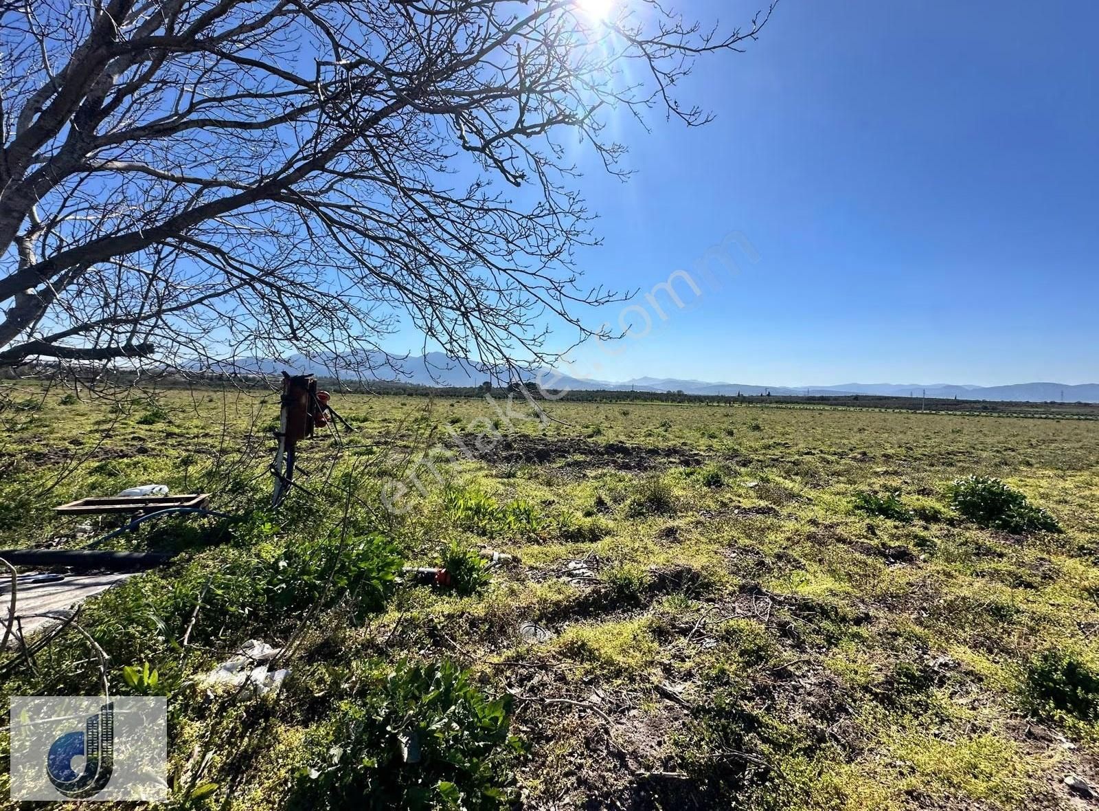 İzmir Bergama Sarıcalar Mahallesinde Satılık Arazi - Görsel 8