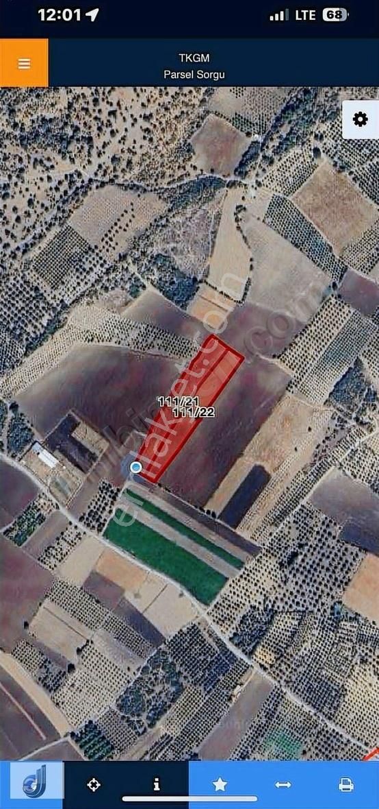 İzmir Bergama Sarıcalar Mahallesinde Satılık Arazi - Görsel 7