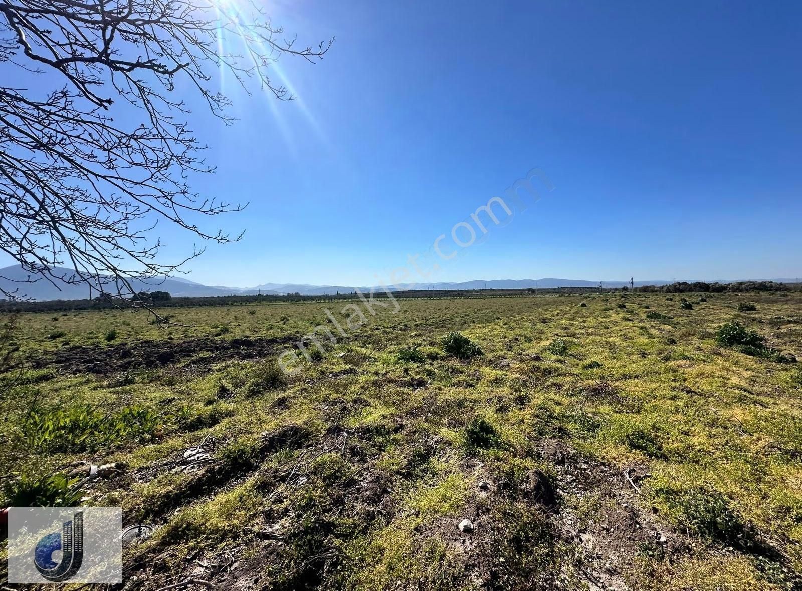 İzmir Bergama Sarıcalar Mahallesinde Satılık Arazi - Görsel 6