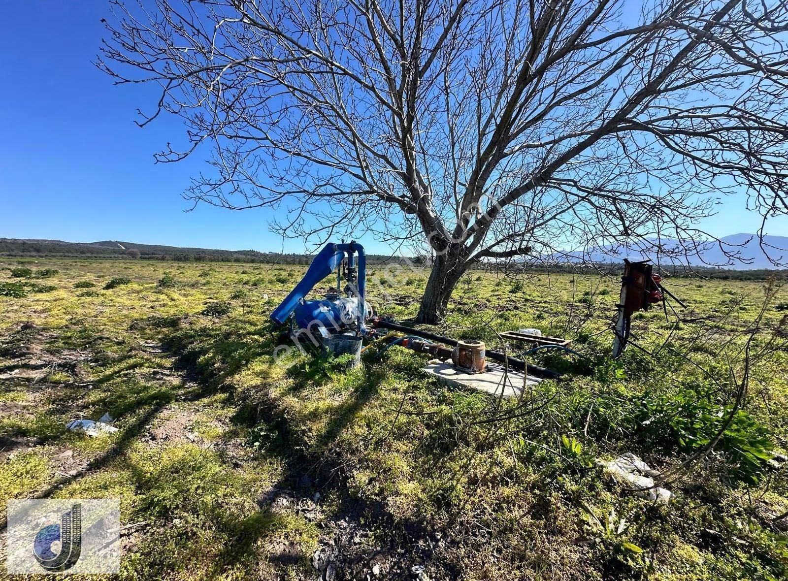 İzmir Bergama Sarıcalar Mahallesinde Satılık Arazi