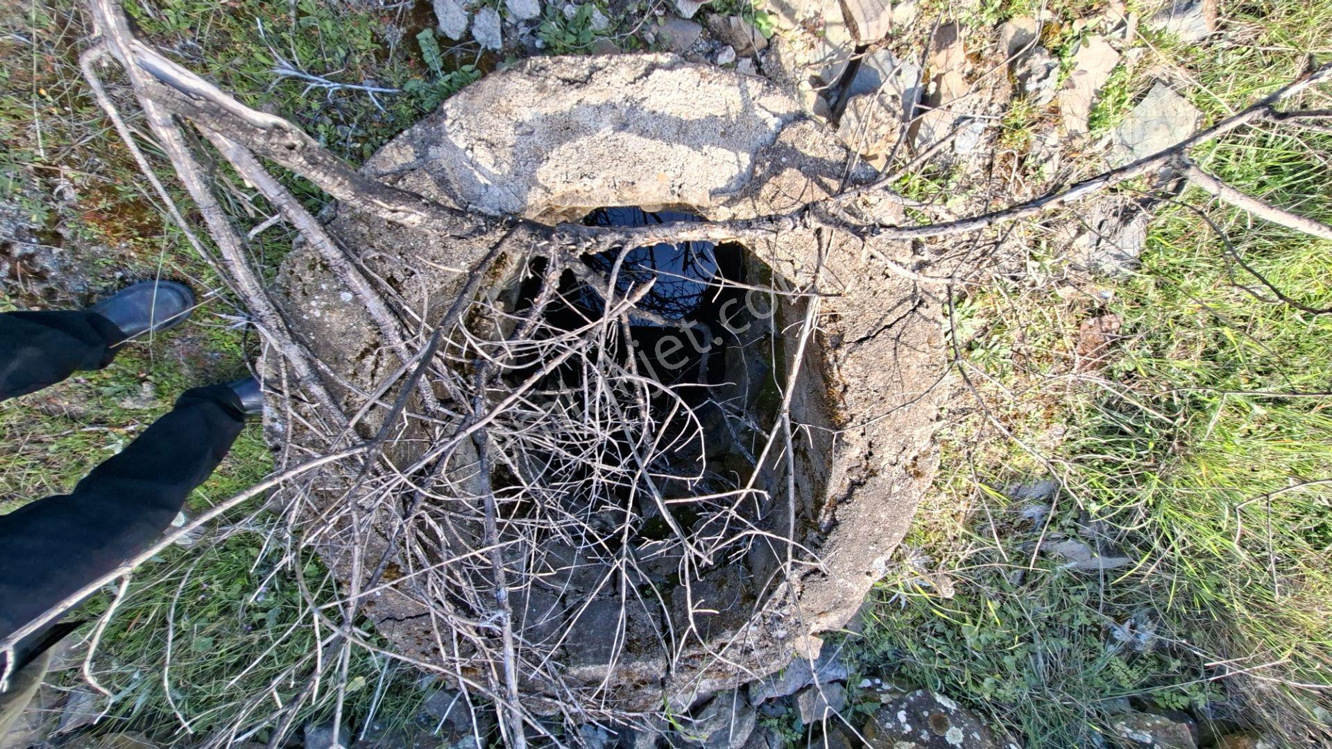 Şahinler Köyüne 900 M Kuyulu, Yol Sorunsuz Deniz Manzaralı Zeytinlik - Görsel 15