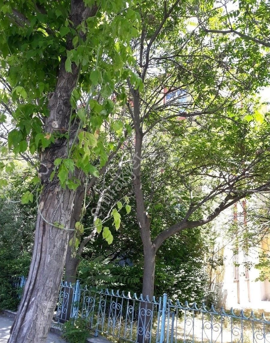 Yenimahalle Zeliş Emlak'tan Ssk Bloklarında 3+1 Katta Yatırımlık Kentsel Dönüşüm Dahilinde Fırsat - Görsel 19