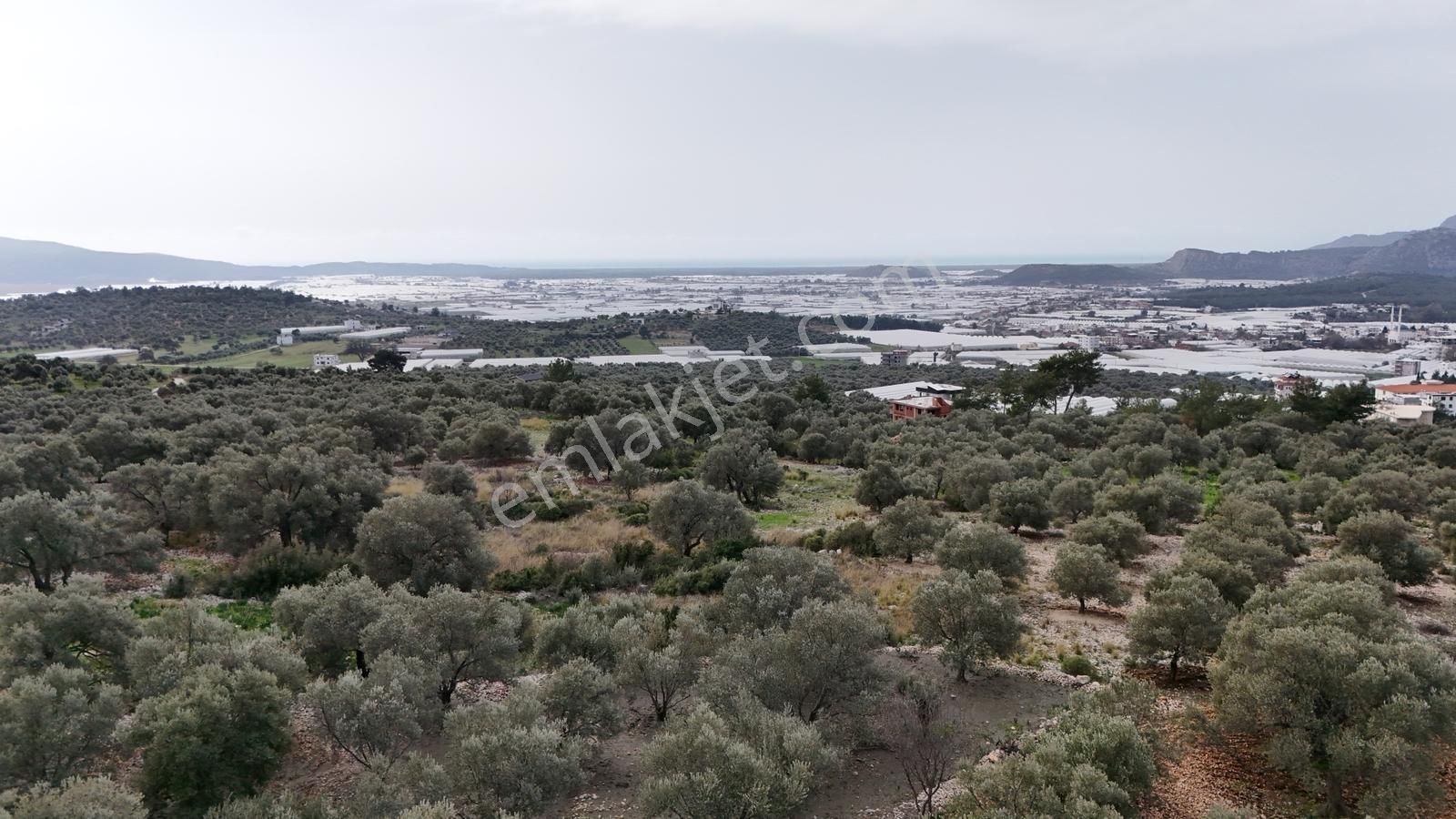 Kaş Nergiz Emlaktan Tek Tapu Manzaralı Tarla - Görsel 8