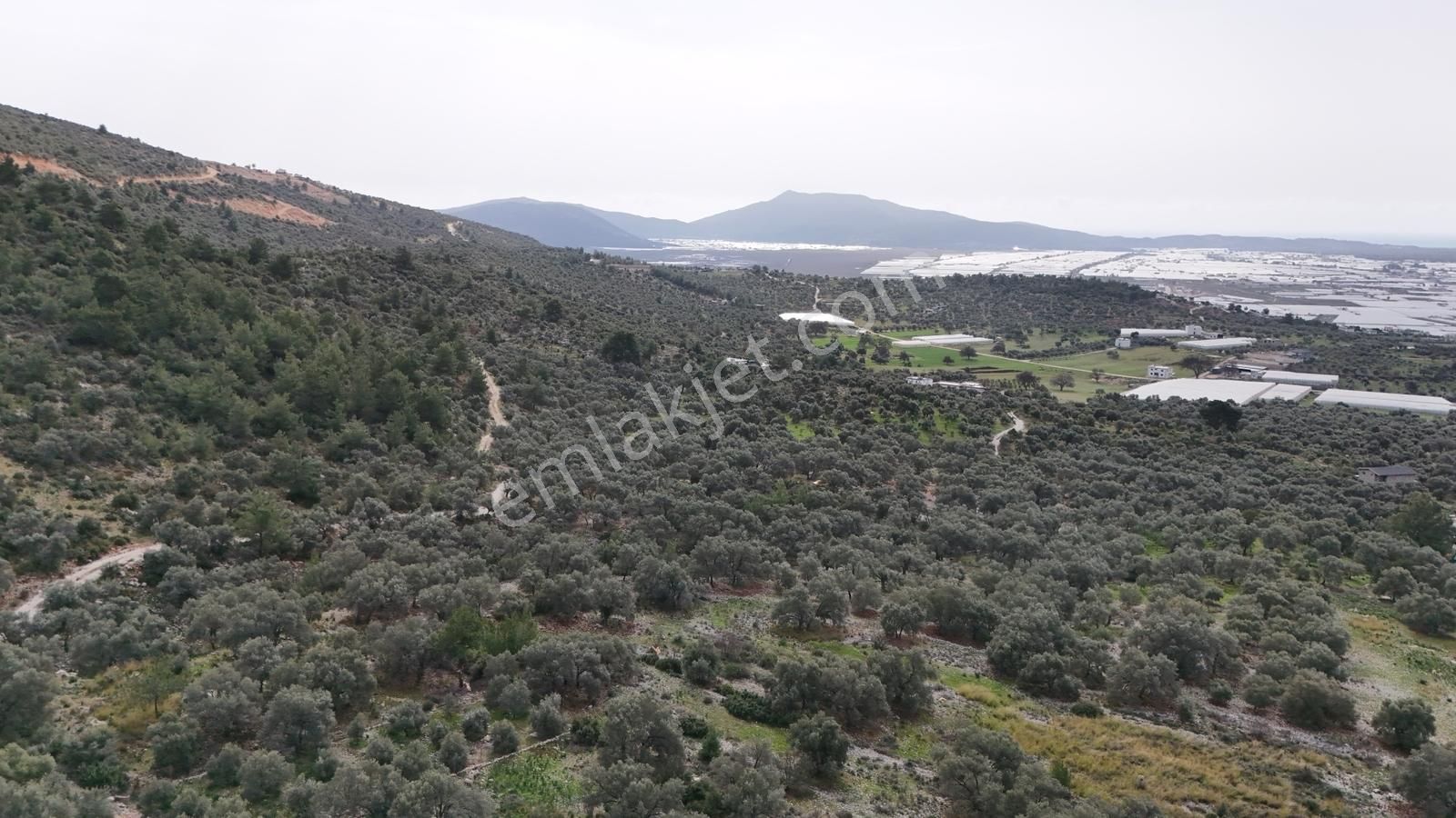 Kaş Nergiz Emlaktan Tek Tapu Manzaralı Tarla - Görsel 7