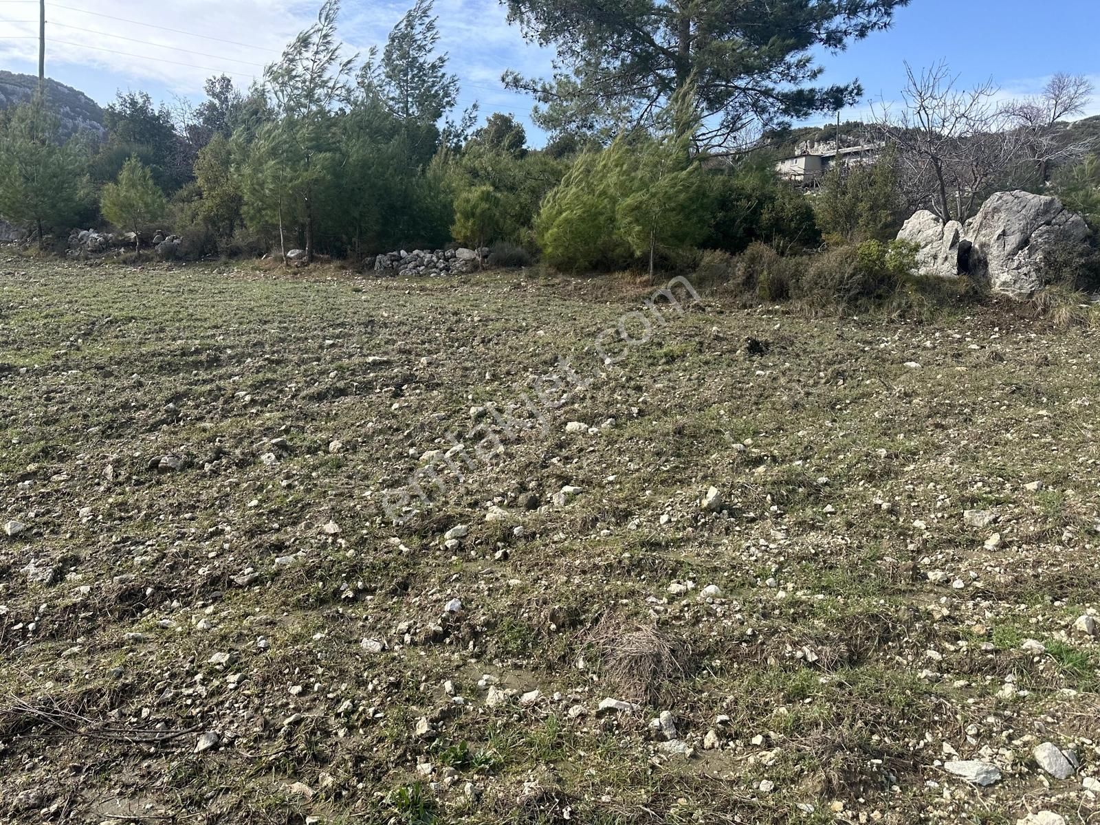 Kaş Nergiz Emlaktan Tek Tapu Su Yol Elektrik Dibinde - Görsel 6