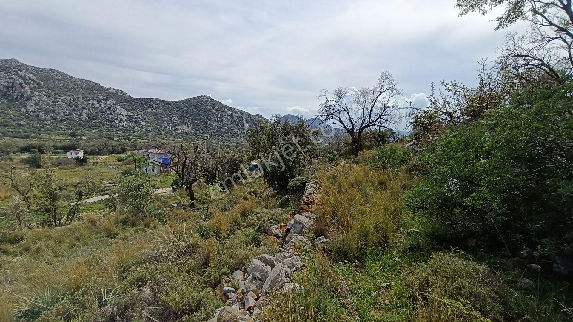 Joker: Bozburun İmara Yakın Kadastral Yolu Olan Satılık Tarla - Görsel 12