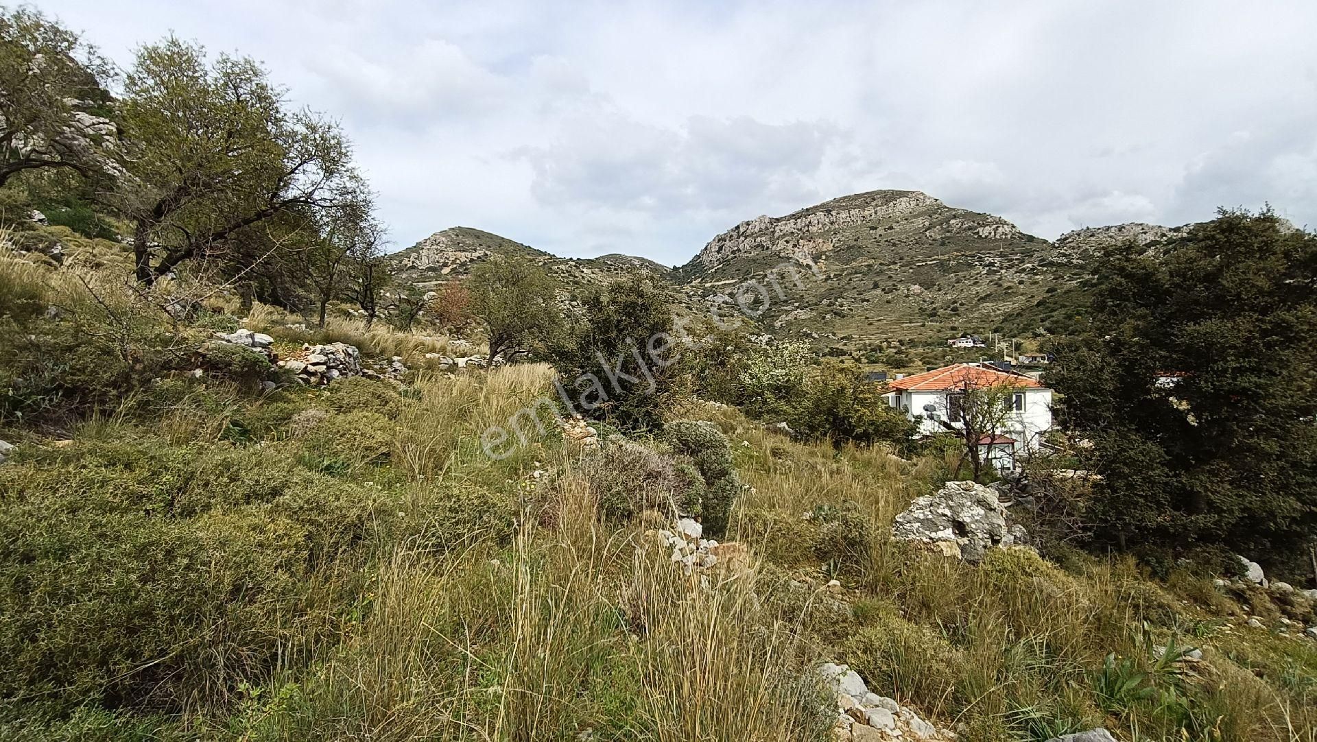 Joker: Bozburun İmara Yakın Kadastral Yolu Olan Satılık Tarla - Görsel 13